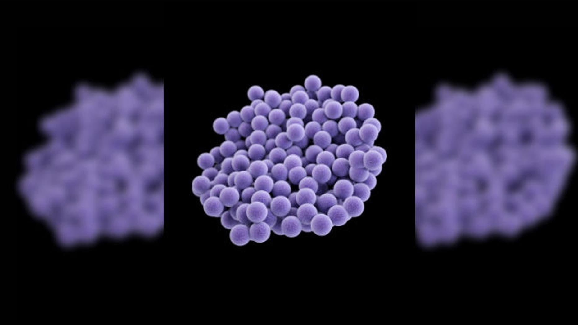 This illustration depicts a three-dimensional (3D) computer-generated image of a group of methicillin-resistant Staphylococcus aureus (MRSA) bacteria, which were arranged in a cluster. The artistic recreation was based upon scanning electron micrographic imagery. (CDC/ Melissa Brower)