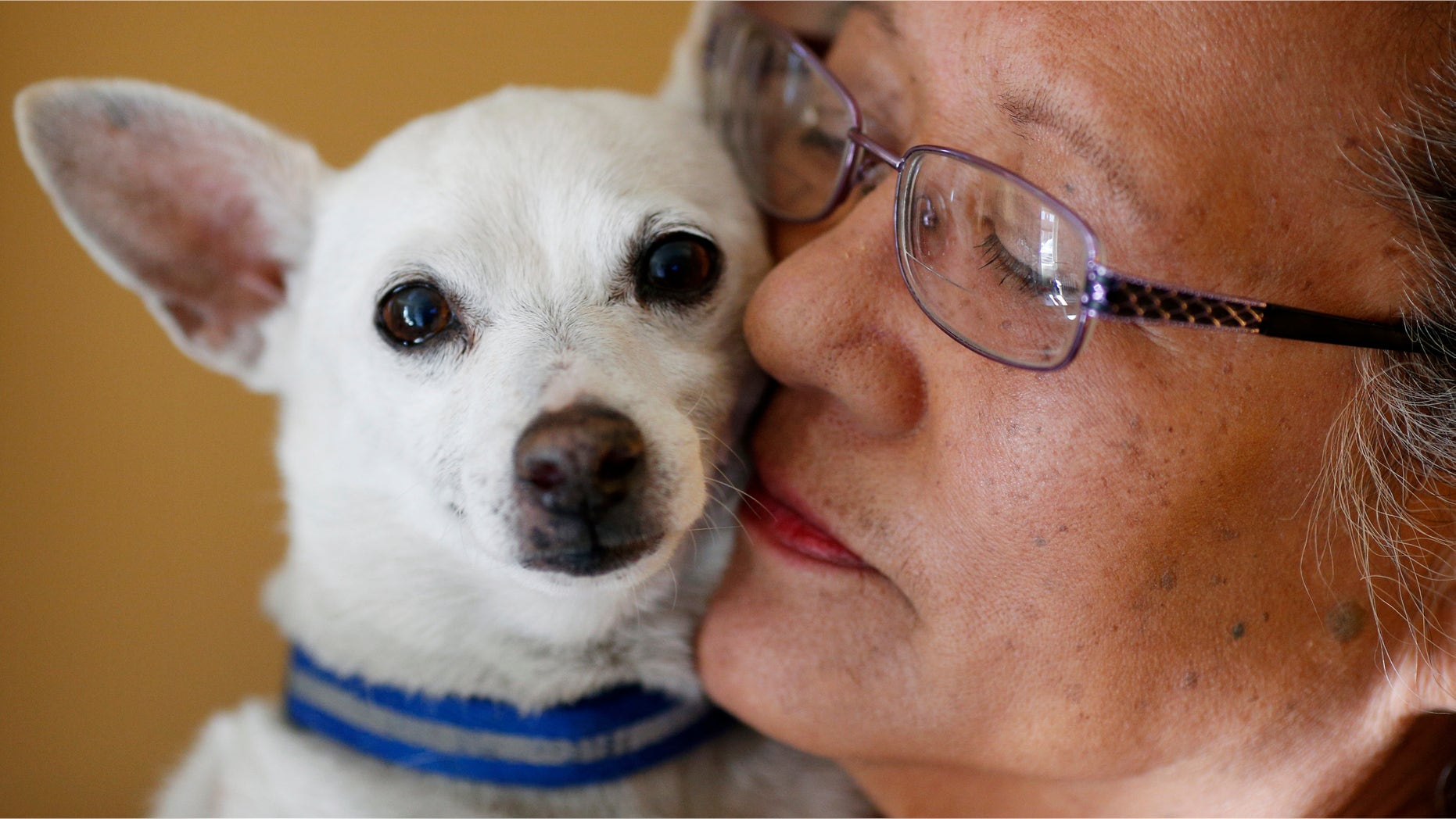 In this Jan. 9, 2016, photo, Cynthia Dias holds Copper, a friend's dog who she looks after, at her apartment in Las Vegas. Dias lived at a homeless shelter before moving into Veteran's Village, a former motel in downtown Las Vegas that was renovated to provide housing for veterans. Dias will sit in First Lady Michelle Obamaâs visitor box during the presidentâs State of the Union address Tuesday night. (AP Photo/John Locher)