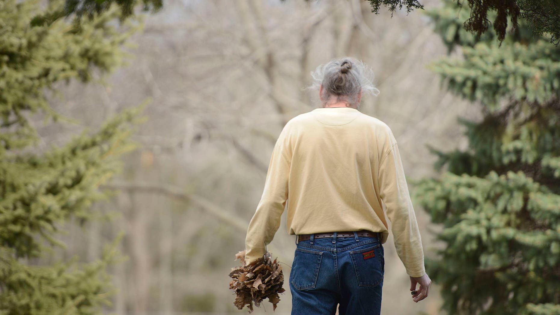 In this Thursday, Dec. 3, 2015, photo, Brian Cottle carries a handful of leaves around his house in Pierpont, Mo. Cottle spent four hours carrying leaves from one side of the yard to the other. This obsessive behavior is one of the symptoms of early onset Alzheimer's. (Kayla Wolf/Missourian via AP)
