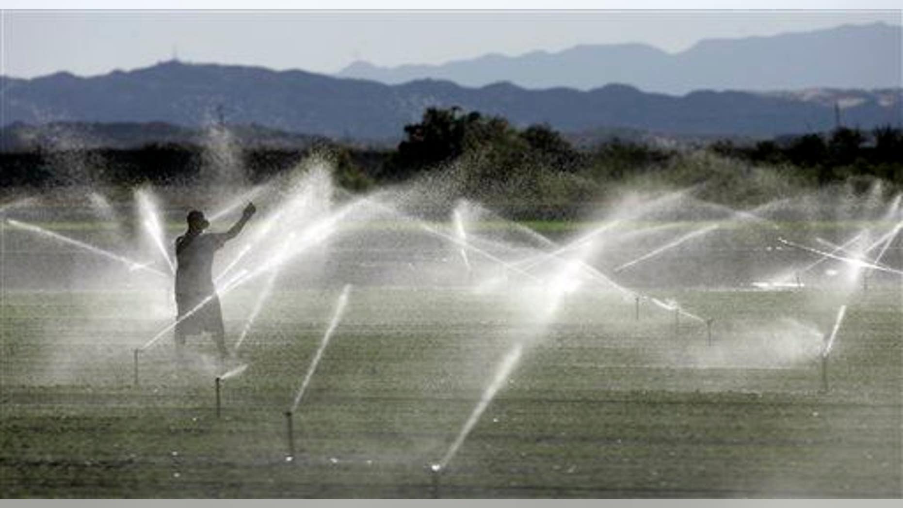 A farm worker adjusts an irrigation system in California. A new study found we're using up Earth's groundwater supply faster than it's being replenished.