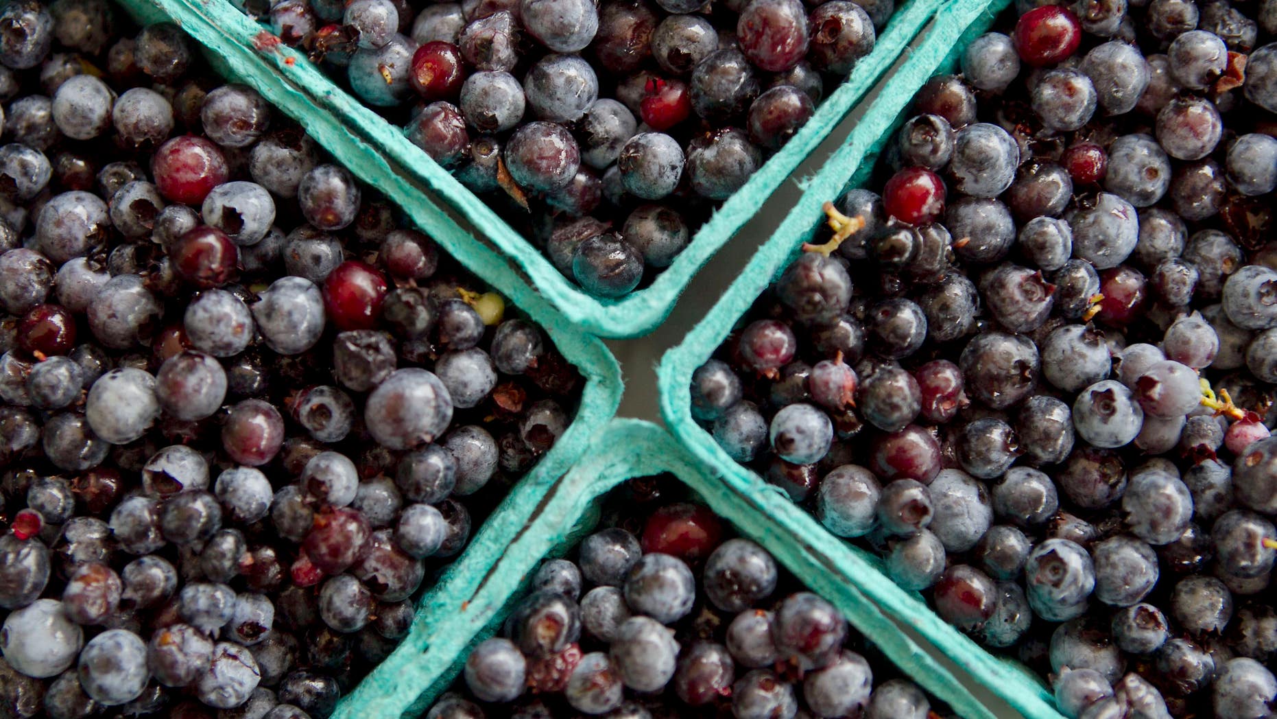 Eat more blueberries now, benefit later, say scientists.