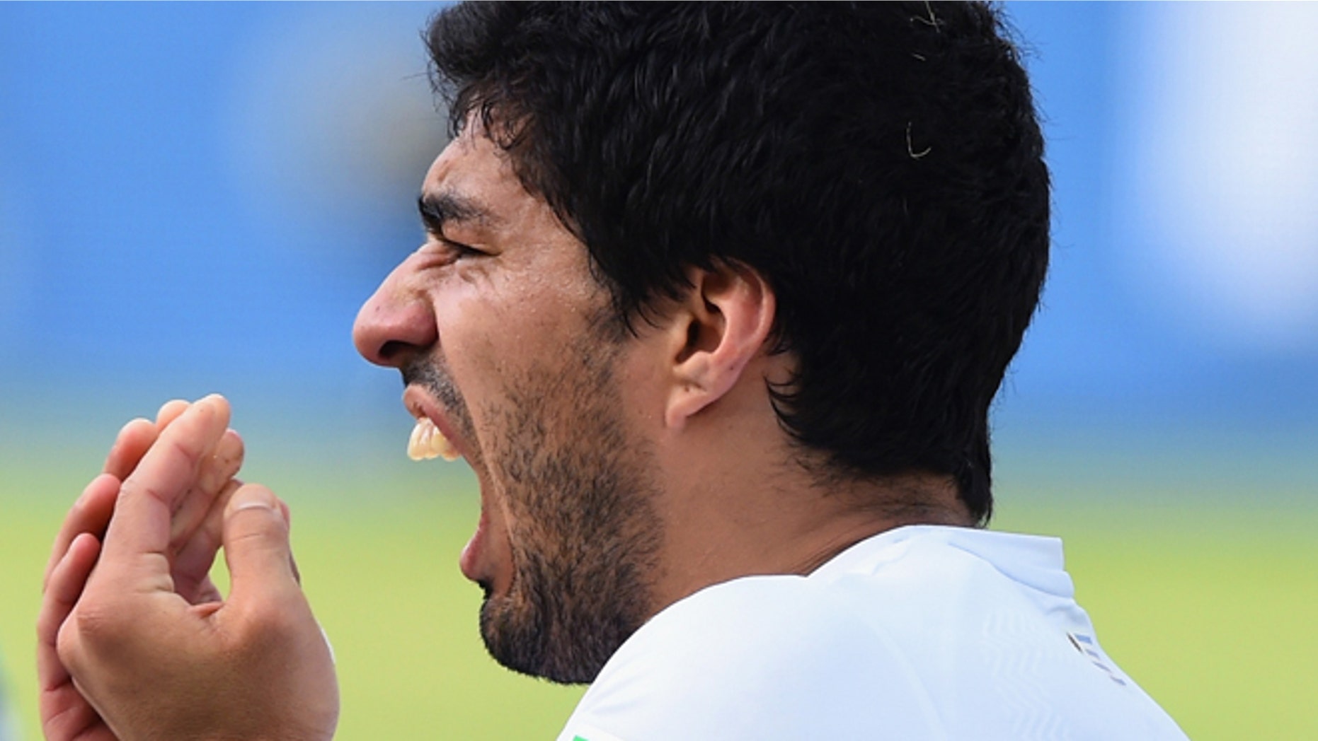 NATAL, BRAZIL - JUNE 24: Luis Suarez of Uruguay reacts after a clash during the 2014 FIFA World Cup Brazil Group D match between Italy and Uruguay at Estadio das Dunas on June 24, 2014 in Natal, Brazil. (Photo by Matthias Hangst/Getty Images)