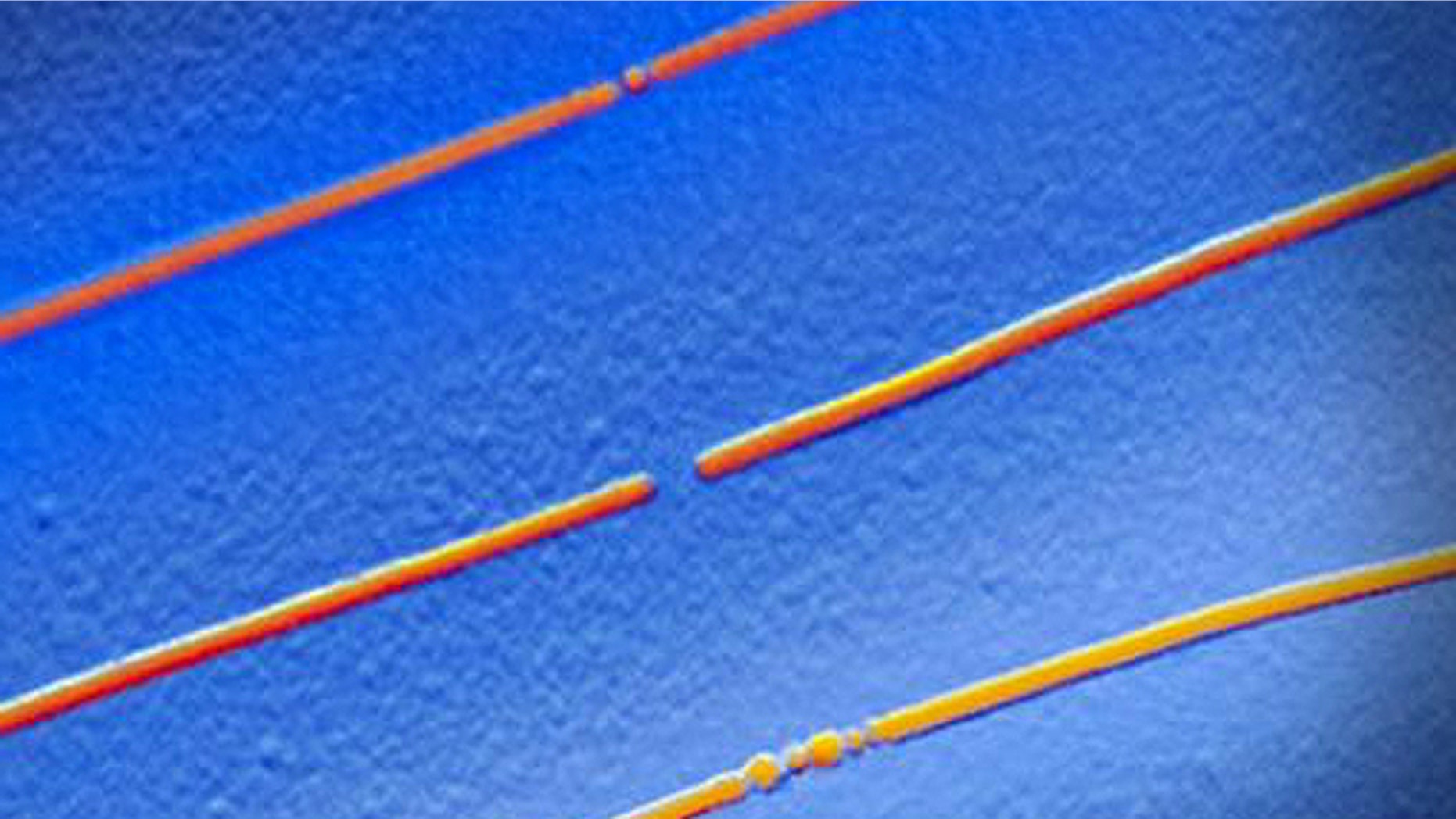 Three parallel memory bits with carbon nanotube electrodes -- hair-thin elements that could be used to build super-endurance batteries. The middle bit is in the "off" state, the other two are "on." A silicon dioxide substrate is shown in blue.