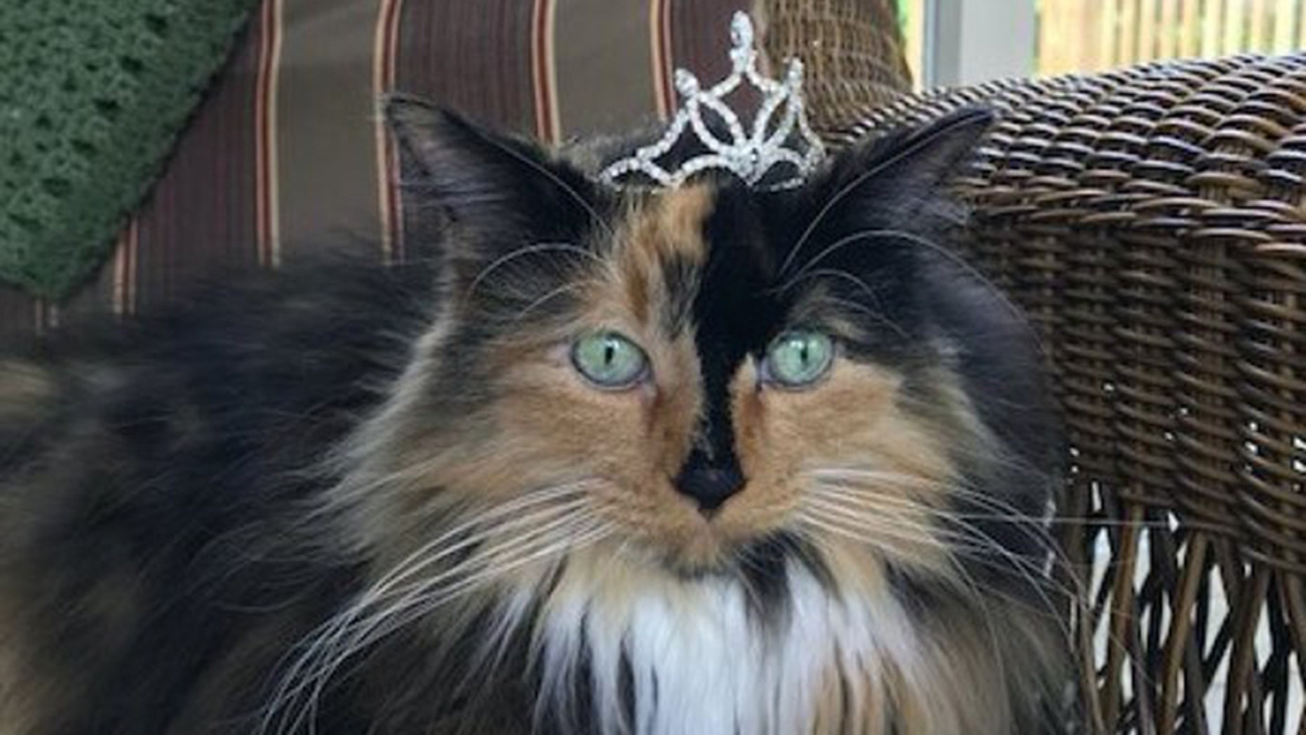 Sweet Tart McKee was elected as the newest mayor of Omena, Michigan.