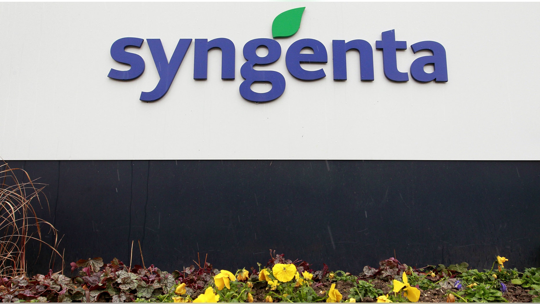 Agrochemicals maker Syngenta's logo is seen in front of the company's headquarters in Basel, Switzerland.
