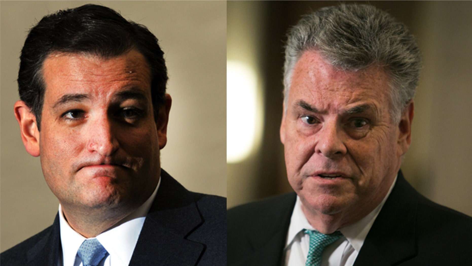 Ted Cruz (R-Texas) and Peter King (R-NY)