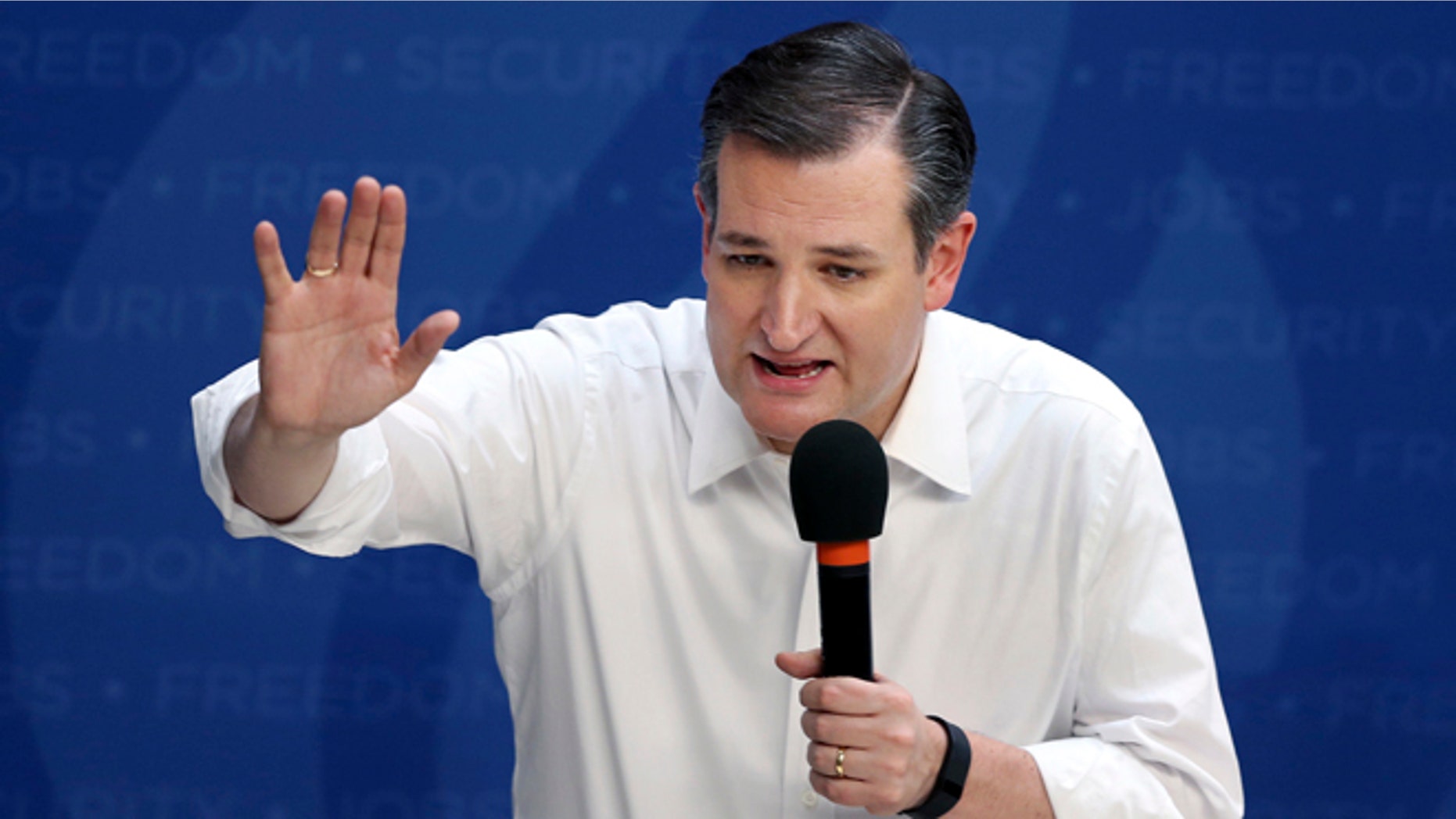 Republican presidential candidate Sen. Ted Cruz, R-Texas, speaks at a campaign rally Friday, April 15, 2016, in Syracuse, N.Y. (AP Photo/Mel Evans)