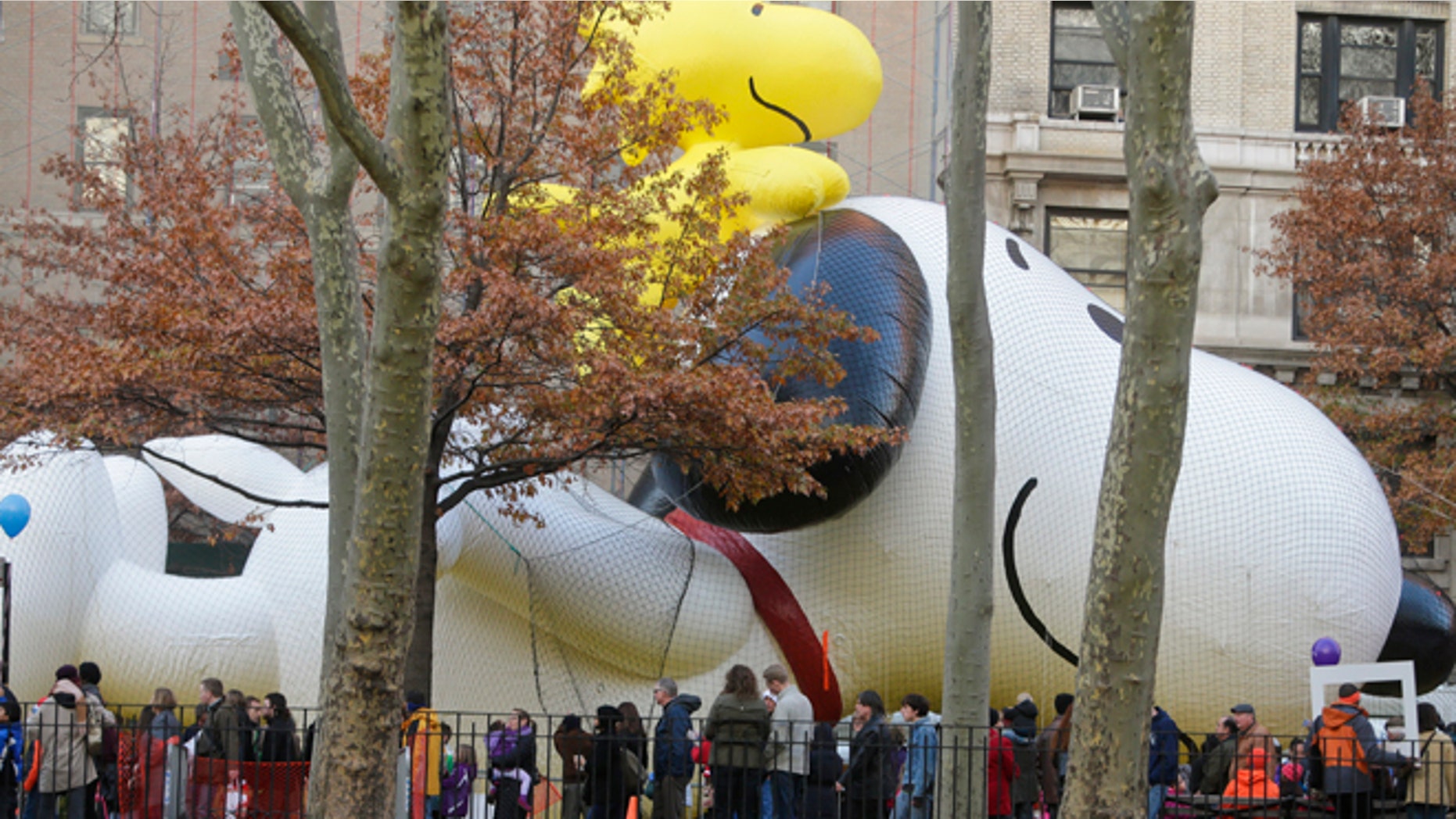 Nov. 25, 2015: People pass the Snoopy with Woodstock balloon as preparations continue for the Macy's Thanksgiving Day Parade.