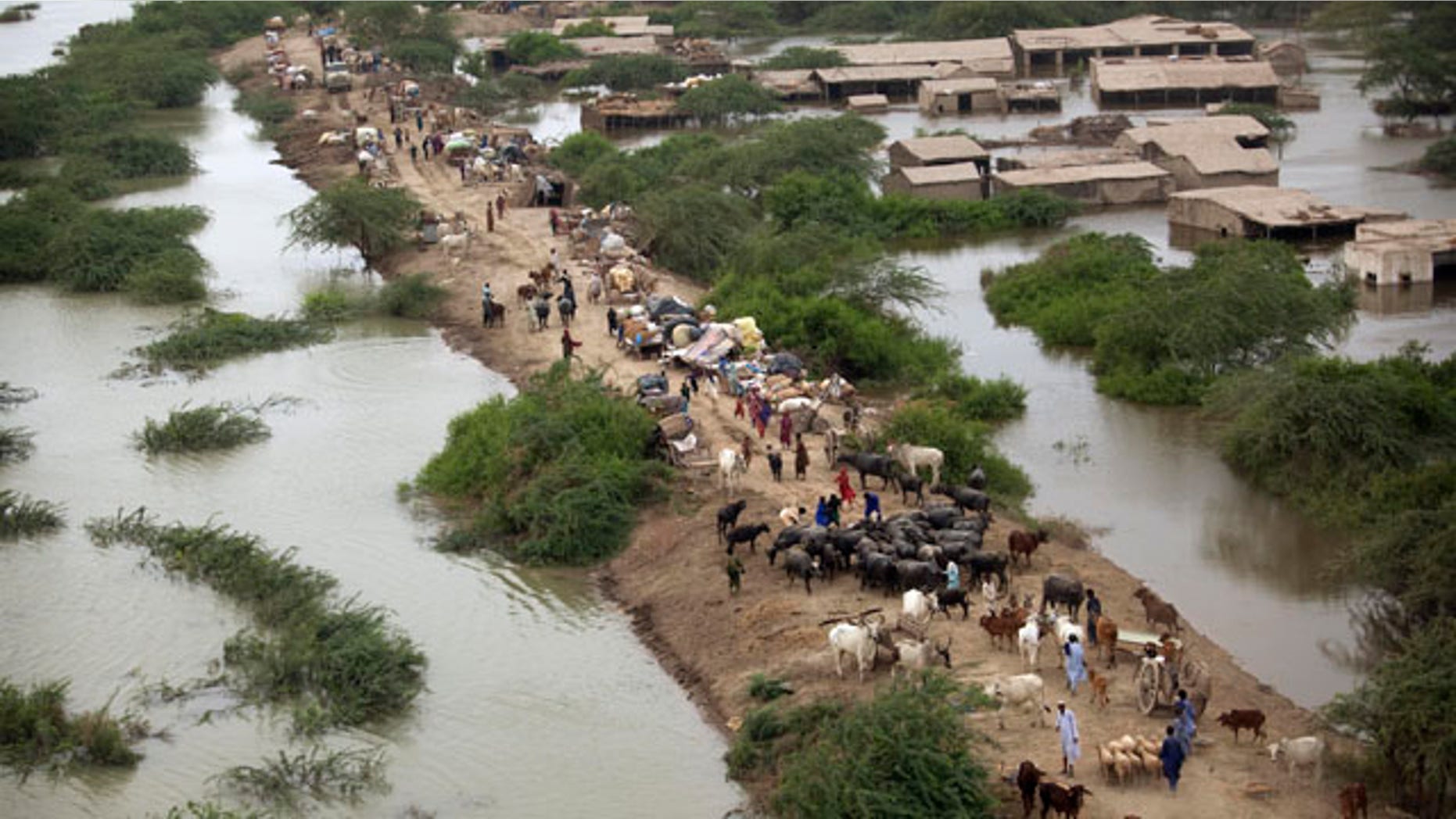 August 29: Pakistani's displaced by flooding take shelter on the higher ground of an embankment near the flooded Indus River, outside Thatta, Sindh Province, southern Pakistan. (AP)