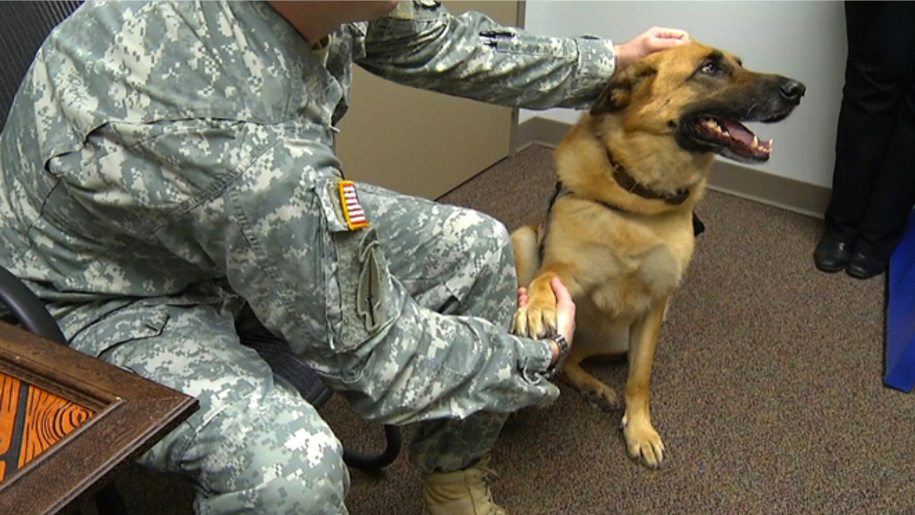 This photo taken Feb. 18, 2014 shows a German Shepherd Lexy, with Van Woodruff, former Sgt. 1st Class who got a medical retirement, that is changing the lives of U.S. Army soldiers being treated for physical and psychological injuries. Maj. Christina Rumayor, a psychiatrist at the 82nd Airborne Division, says Lt. Col. Lexy the therapy dog is one of her most important tools. (AP Photo/Alex Sanz)