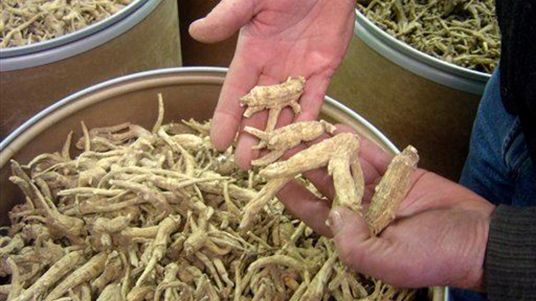 This Dec. 15, 2009 file photo shows ginseng roots at a ginseng-cleaning plant in Wausau, Wis. Wisconsin produces 90 percent of the nation's ginseng crop, most of which gets exported to China.
