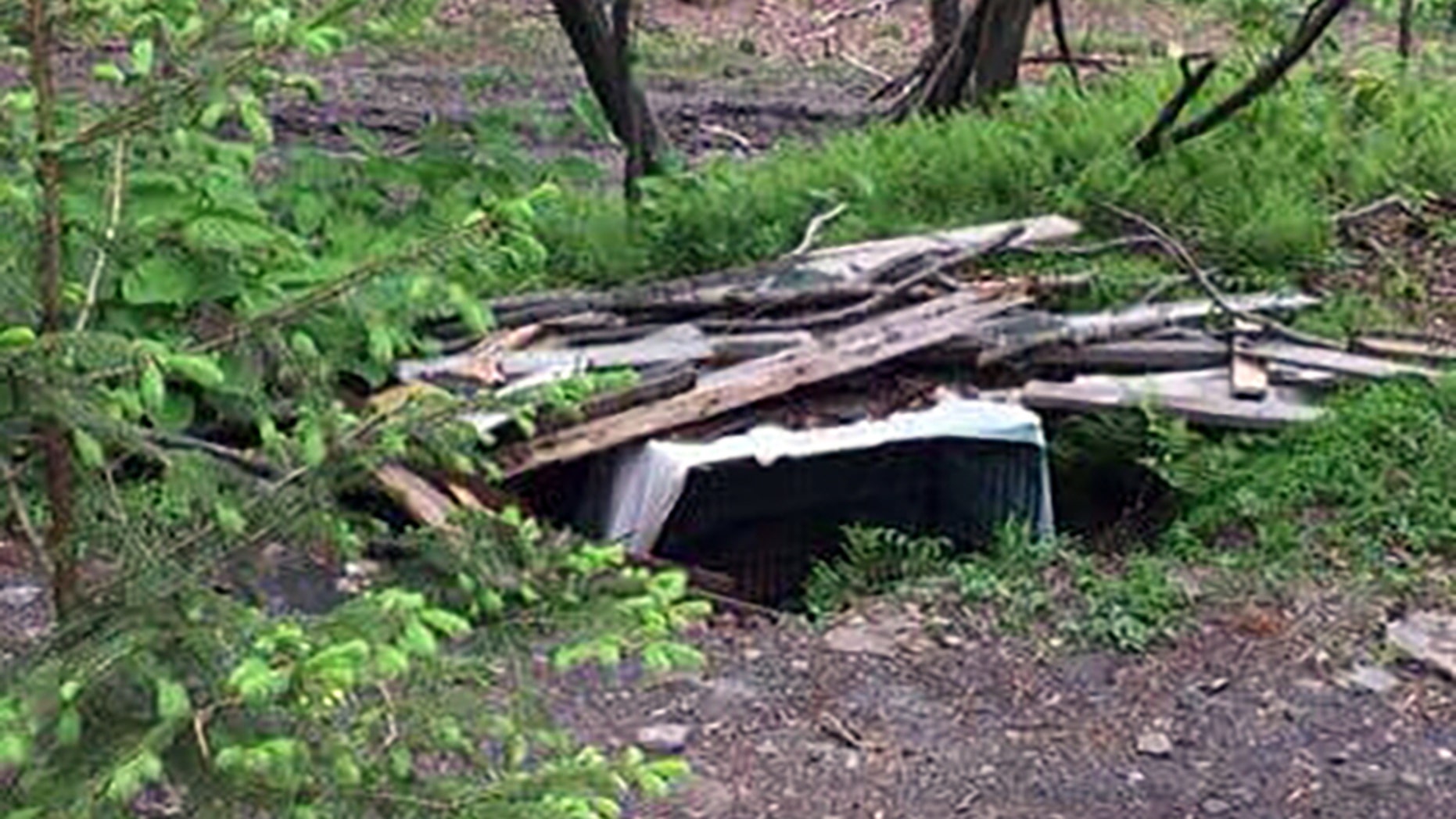 A dog died after being buried in a locked cage in the woods in Pennsylvania, according to a report.