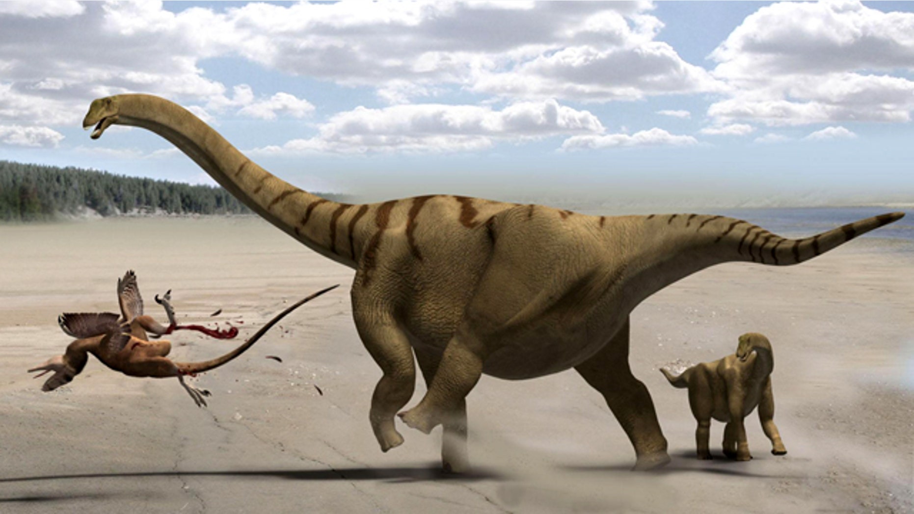This life restoration shows the adult Brontomerus as a mother, protecting her baby from a predator by using her powerful thigh muscles to deliver a devastating kick.