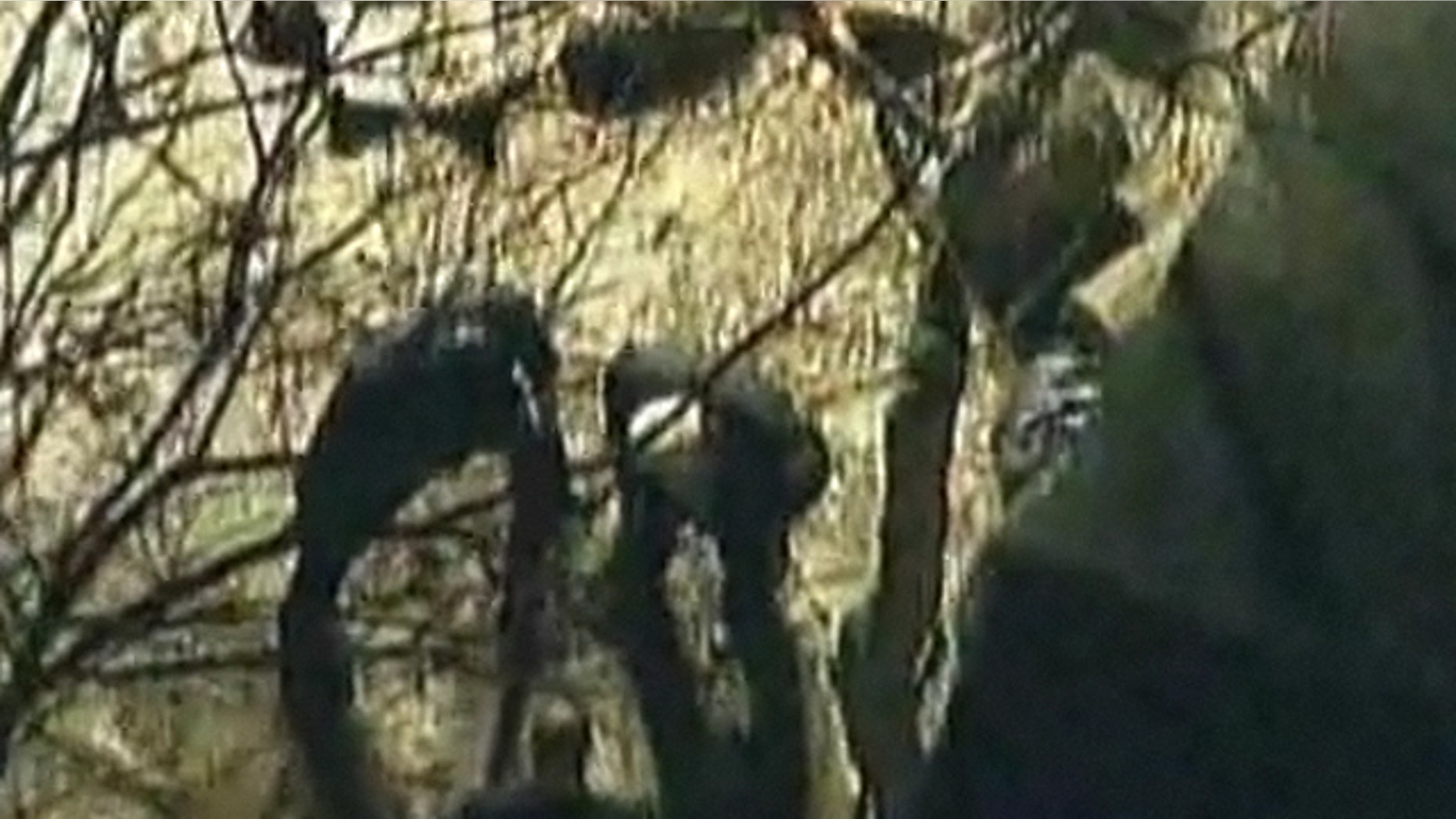 Mar. 12, 2012: Police search for a missing toddler in New Jersey.