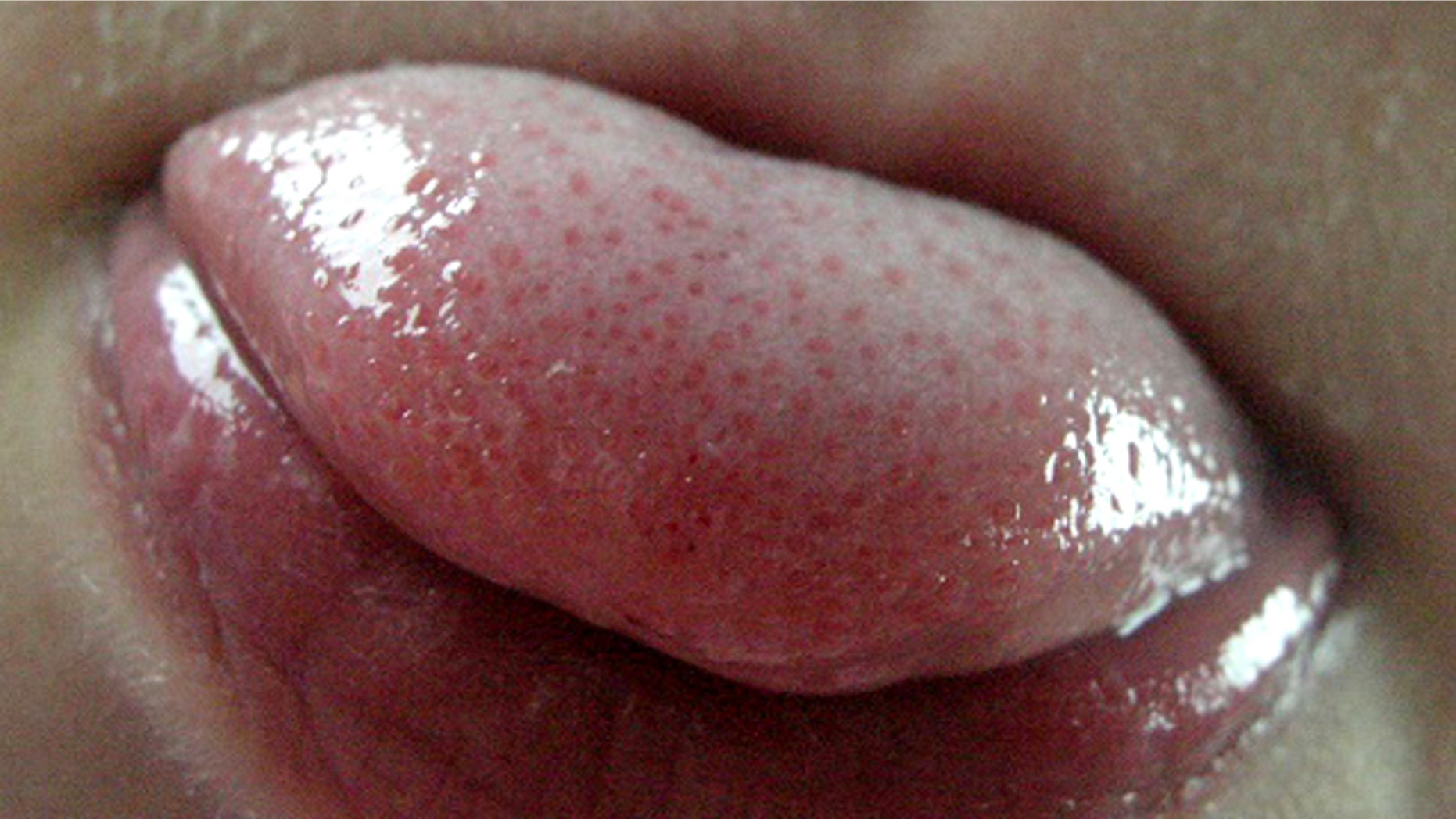At the latest count there are 25 different receptors on the human tongue that can detect bitterness.
