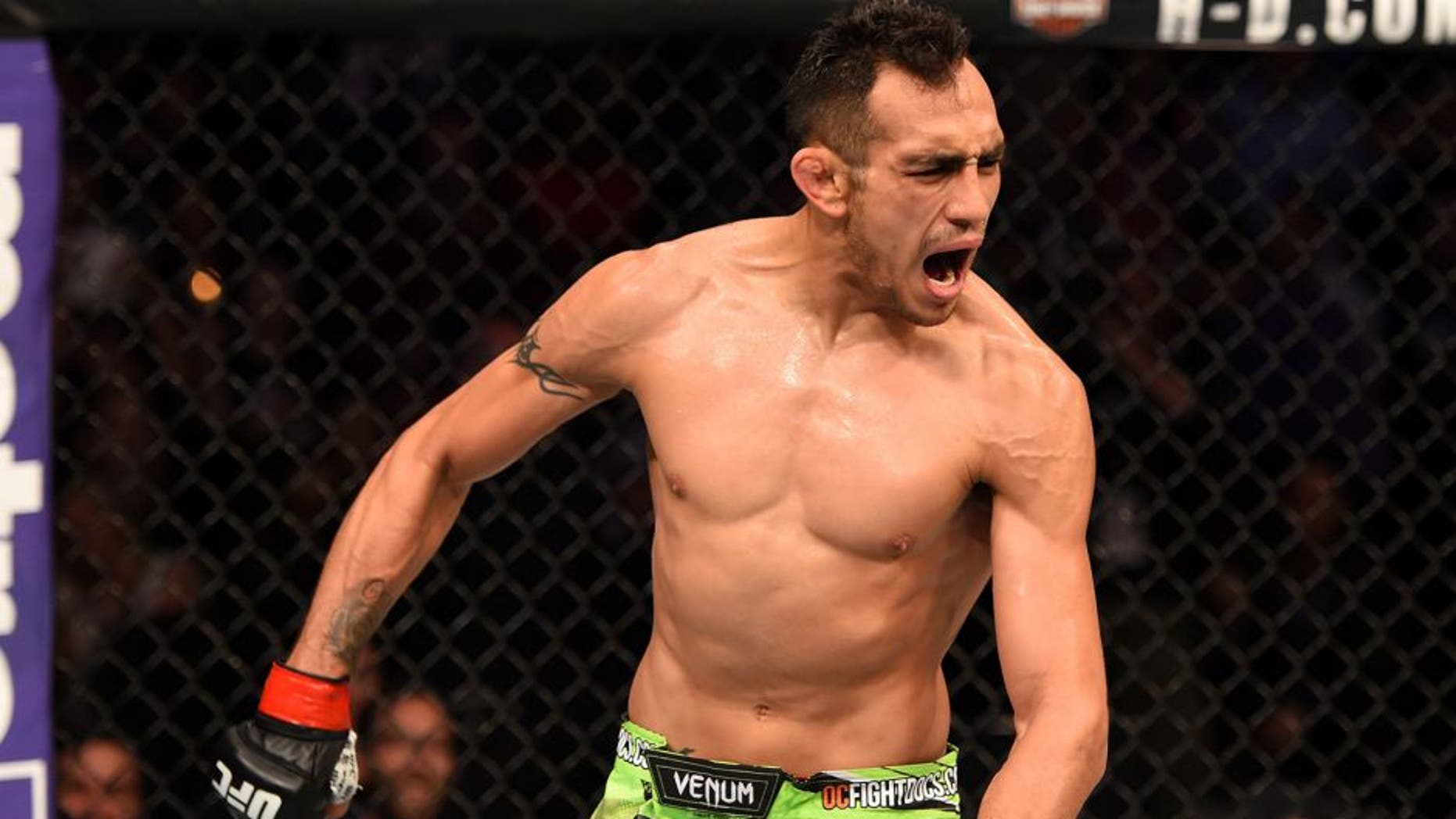Tony Ferguson wins seventh straight, calls for title shot | Fox News