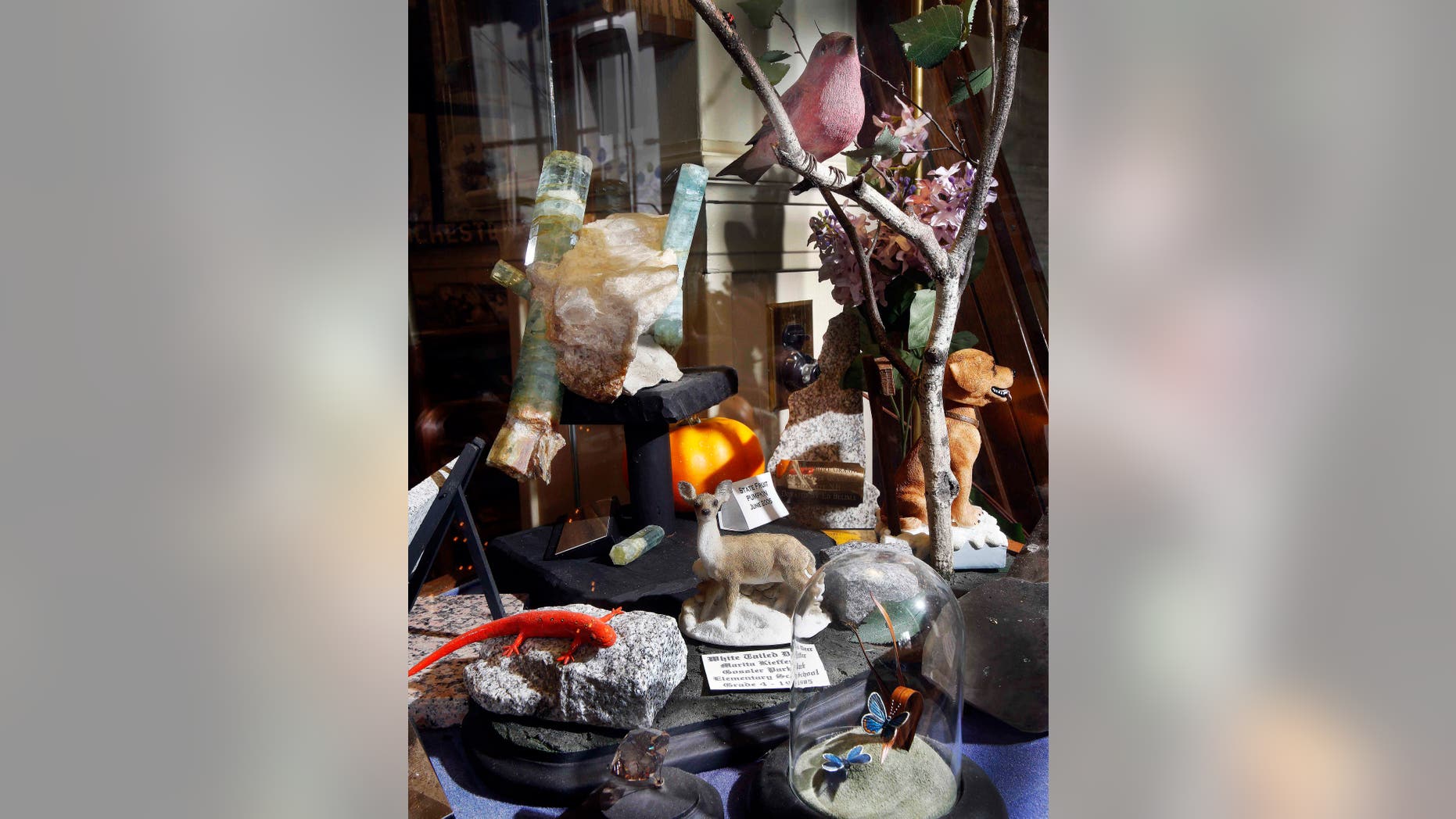 A display at the visitors center at the New Hampshire State House shows many of the state symbols voted in by the legislature over the years seen Friday, March 27, 2015, in Concord, N.H. The display includes the state flower, Lilac; Tree, White birch; bird, Purple finch; dog, Chinook; animal, White tail deer; Amphibian, spotted newt; butterfly, Karner Blue; fruit, pumpkin.