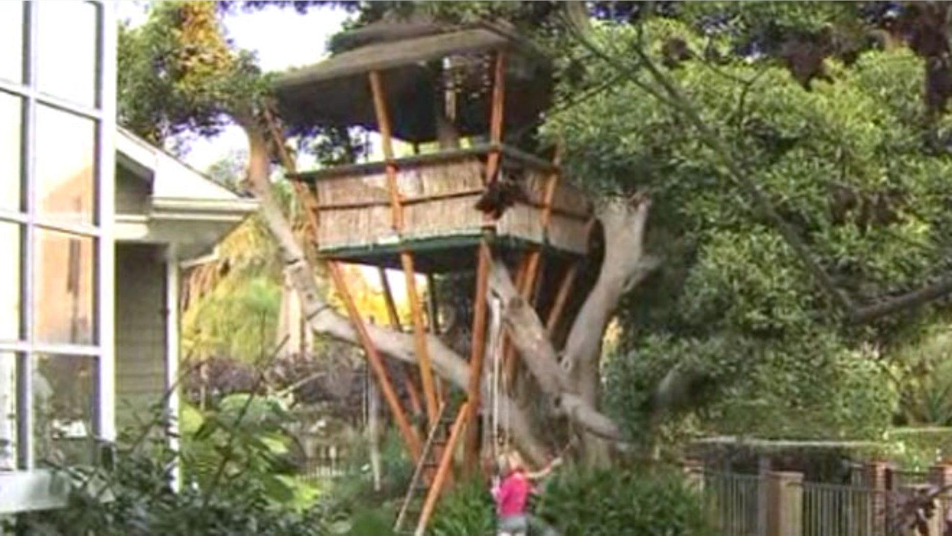 Los Angeles Tree House Out On A Limb After City Seeks To Demolish A Los Angeles Woman Is Determined To Save Treehouse On Her Property After Receiving