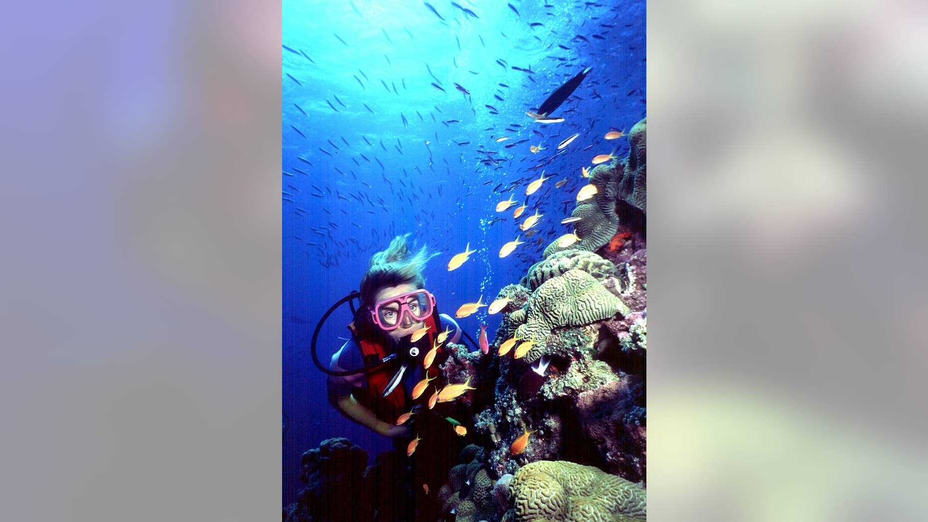 FILE - In this undated file photo, a diver swims on Australia's Great Barrier Reef. The United Nations says it is concerned about the state of the Great Barrier Reef and is urging greater efforts to conserve one of the most world’s spectacular natural sites. The decision Wednesday July 1, 2015 in Bonn, Germany, puts pressure on Australia to prevent further destruction of the 2,300-kilometer (1430-mile) reef off the Queensland coast. (AP Photo/Brain Cassey, File)