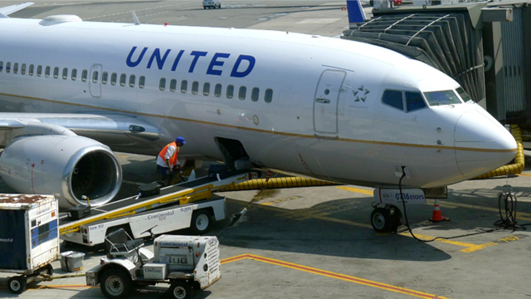 A United Airlines airplane is unloaded after arriving at Newark Liberty International Airport in Newark, New Jeresy, June 18, 2011. A United Airlines computer problem caused system wide cancellations Friday evening forcing passengers to be stranded across the U.S. on Saturday. REUTERS/Gary Hershorn (UNITED STATES - Tags: TRANSPORT BUSINESS SCI TECH)