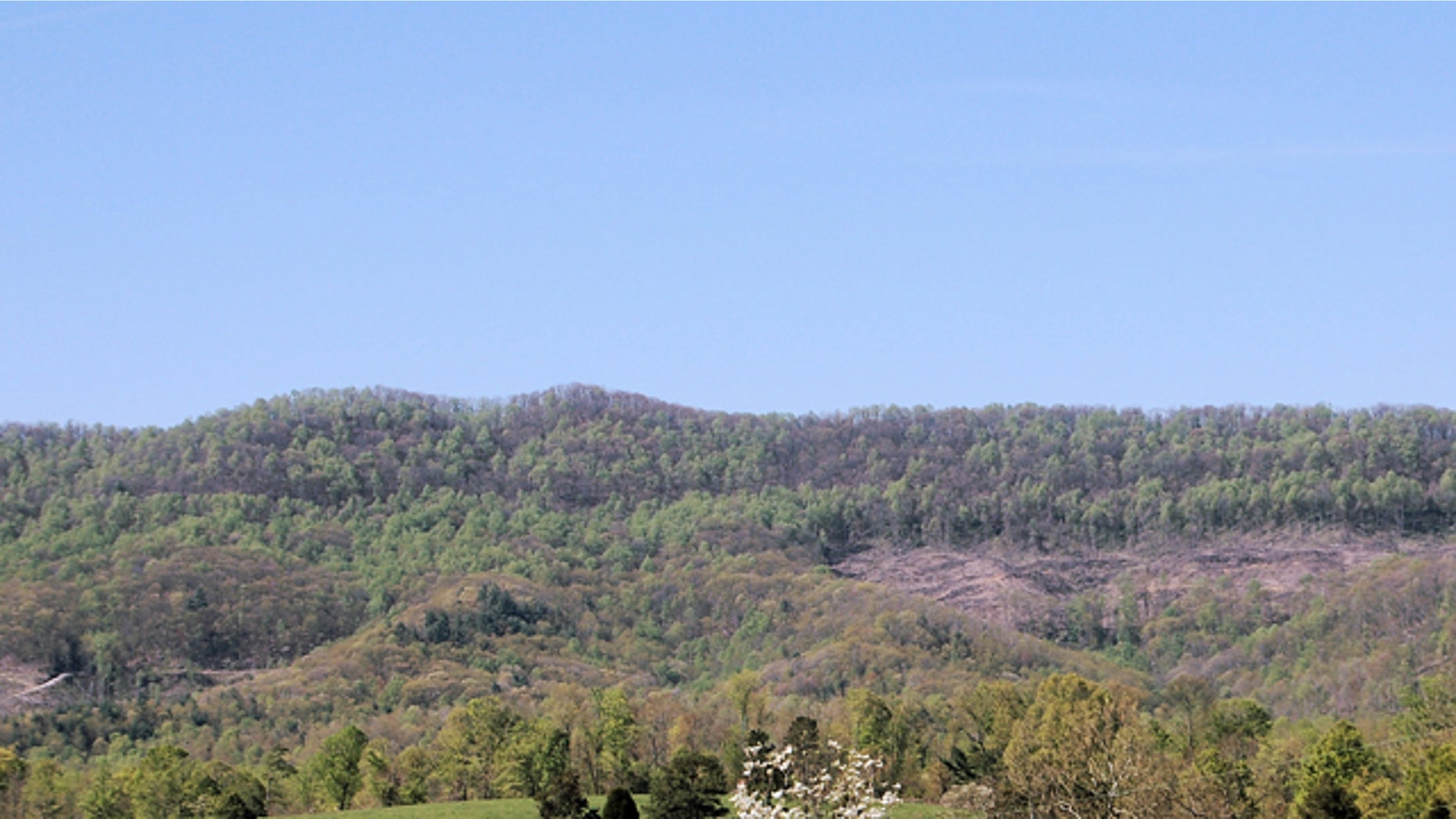 An undated photo provided by the University of Tennessee shows Wilson Mountain in the Cumberland Forest, a state-owned research area used by the University of Tennessee.