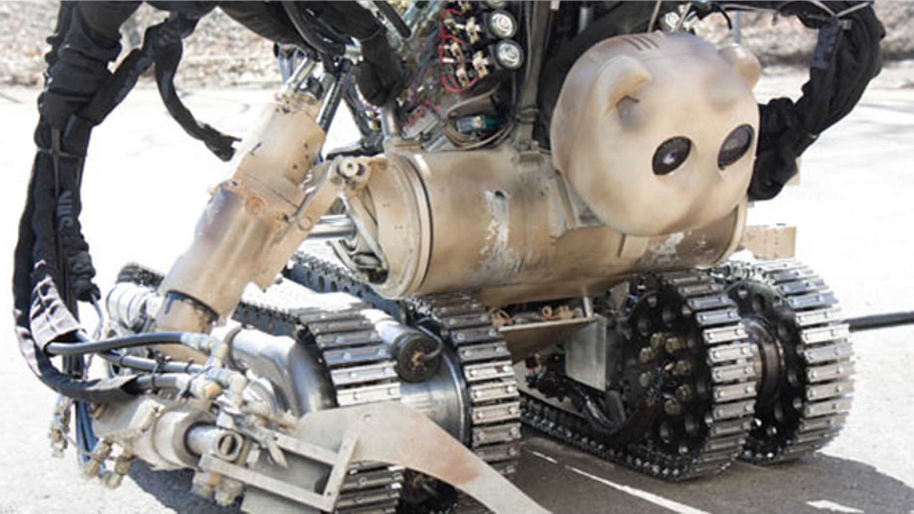 The bear robot, a dotor's best friend in a warzone.