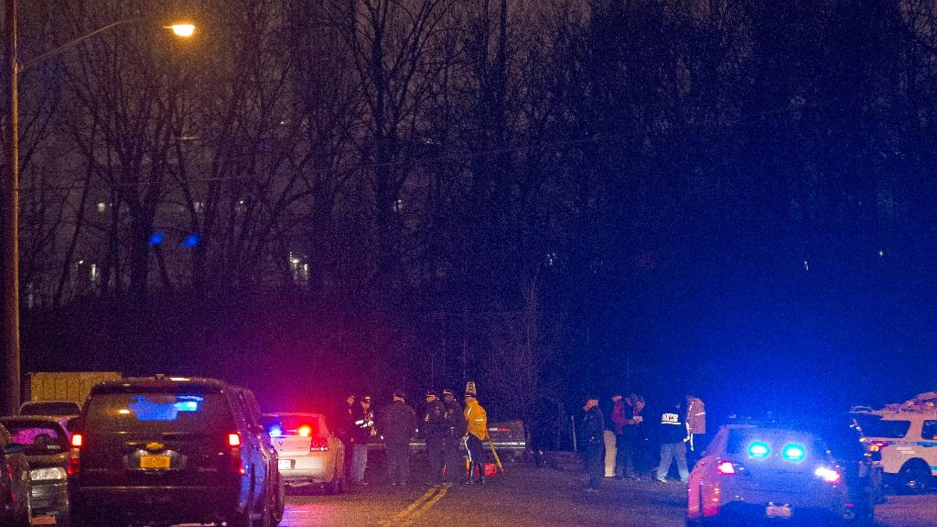 Police investigate the scene of an accident on a dead-end street where a car containing five passengers plunged into Steinway Creek in the Astoria neighborhood of Queens, Saturday, April 5, 2014, in New York. The New York Police Department says four of five people pulled from a vehicle submerged in a New York City creek have died. The fifth, believed to have been the driver, was in stable condition. (AP Photo/John Minchillo)