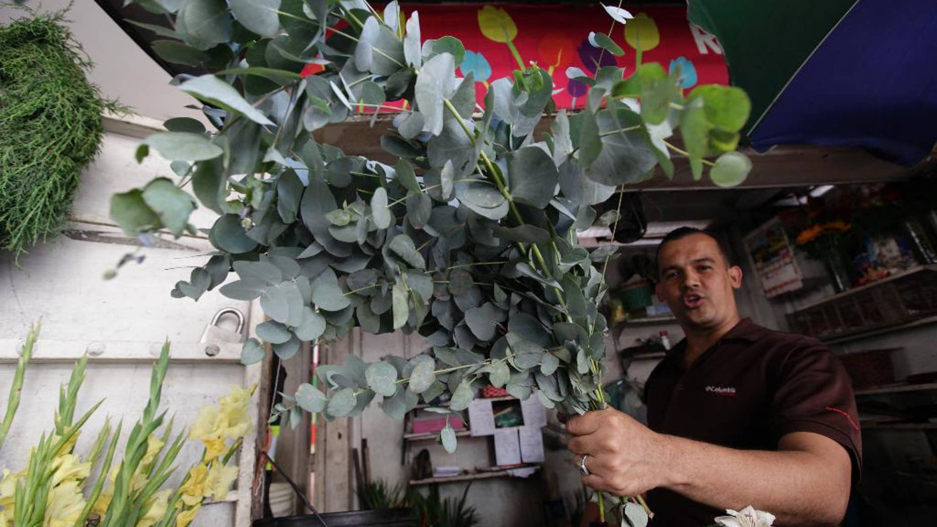 A flower seller shows a eucalyptus stalks in Caracas, Venezuela, Wednesday, Nov. 19, 2014. In Venezuela people now burn eucalyptus as a method of keeping the bugs away now that DEET is all but extinct there. (AP Photo/Ariana Cubillos)