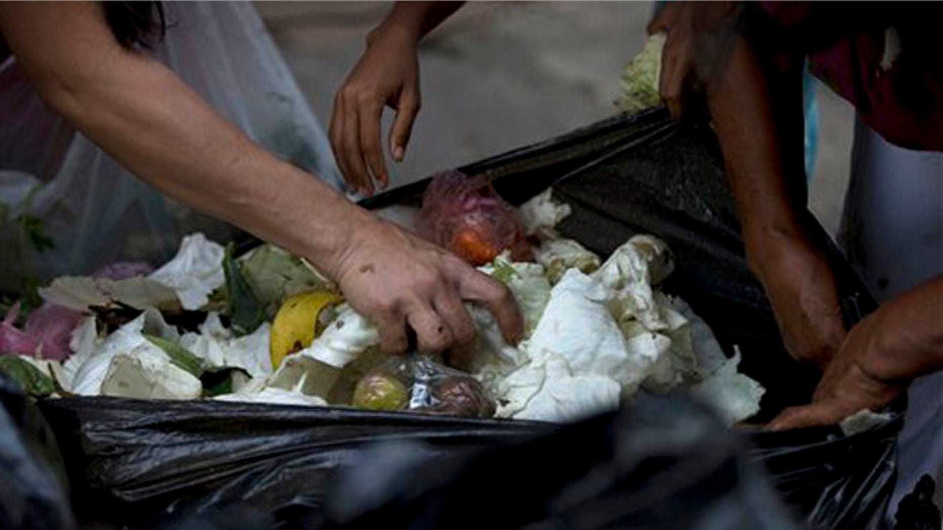 En esta imagen, tomada el 2 de junio de 2016, varias personas revisan bolsas de basura en busca de frutas y verduras en el exterior de un supermercado en el centro de Caracas, en Venezuela. A las personas desempleadas que buscan comida entre los alimentos que tiran las tiendas suelen unirse ahora propietarios de pequeños negocios, estudiantes universitarios o jubilados, personas que se consideran dentro de la clase media. El nivel de vida se ve afectado desde hace tiempo por una inflación de tres dígitos y escasez de alimentos, algo que lleva a muchos a recurrir a la agricultura urbana para devolver las verduras a su dieta. (AP Foto/Fernando Llano)