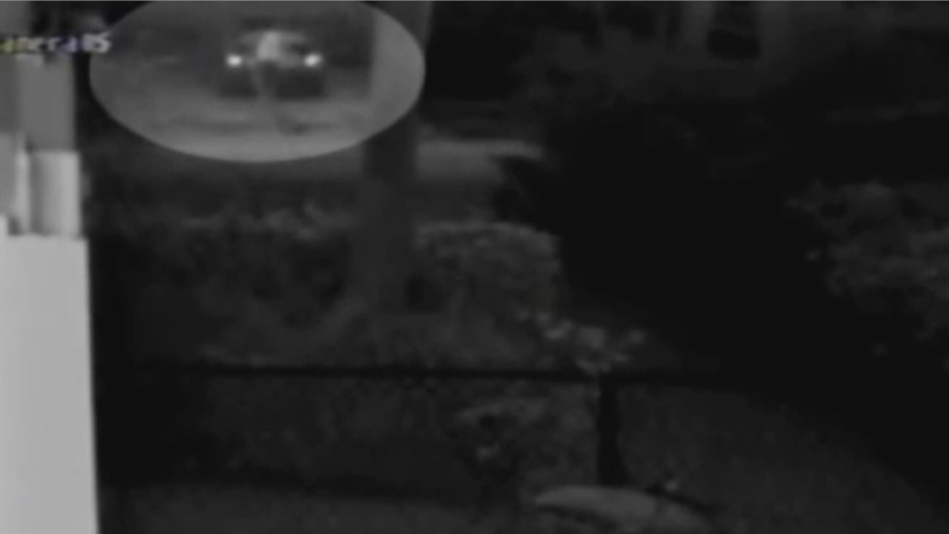 Police say a newly released video shows Gerard Belmonte placing his mother's body into the trunk of her car.