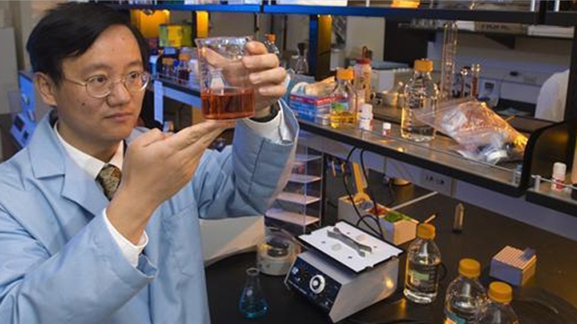 In the future, restaurants may serve woodchips the way they serve mashed potatoes and grits today. Thats what Virginia Tech professor Y.H. Percival Zhang is promising the world.