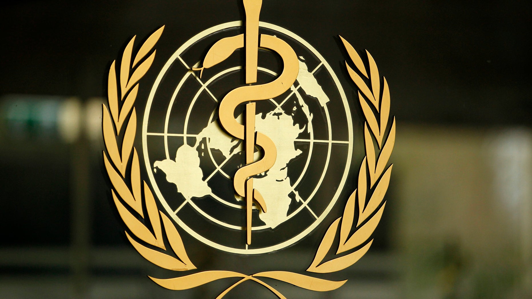 The World Health Organization (WHO) logo is pictured at the entrance of its headquarters in Geneva, January 25, 2015. REUTERS/Pierre Albouy