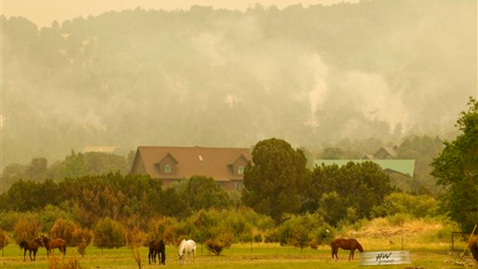 Smoke raises from the Wallow fire as it burns towards homes south of Eagar, Ariz. After reportedly being sparked by a campfire, the 525-square mile fire has become the second-largest wildfire in state history and is still growing. (AP/The Arizona Republic)