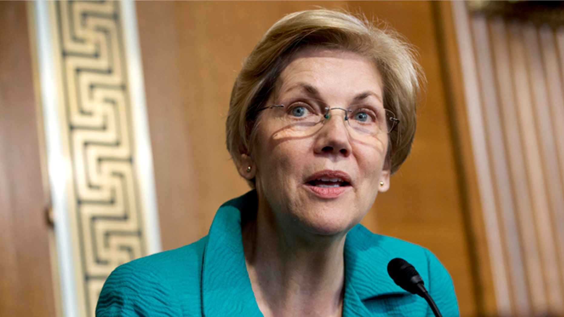 Warren star in the Democratic Party has lost some luster after recent missteps.