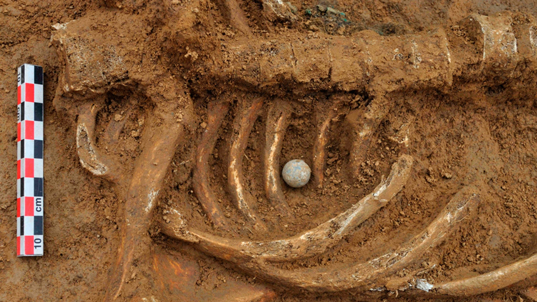 A musket ball placed between the ribs of the skeleton of a soldier killed in the Battle of Waterloo, is pictured at the site where the bones were found in Waterloo.
