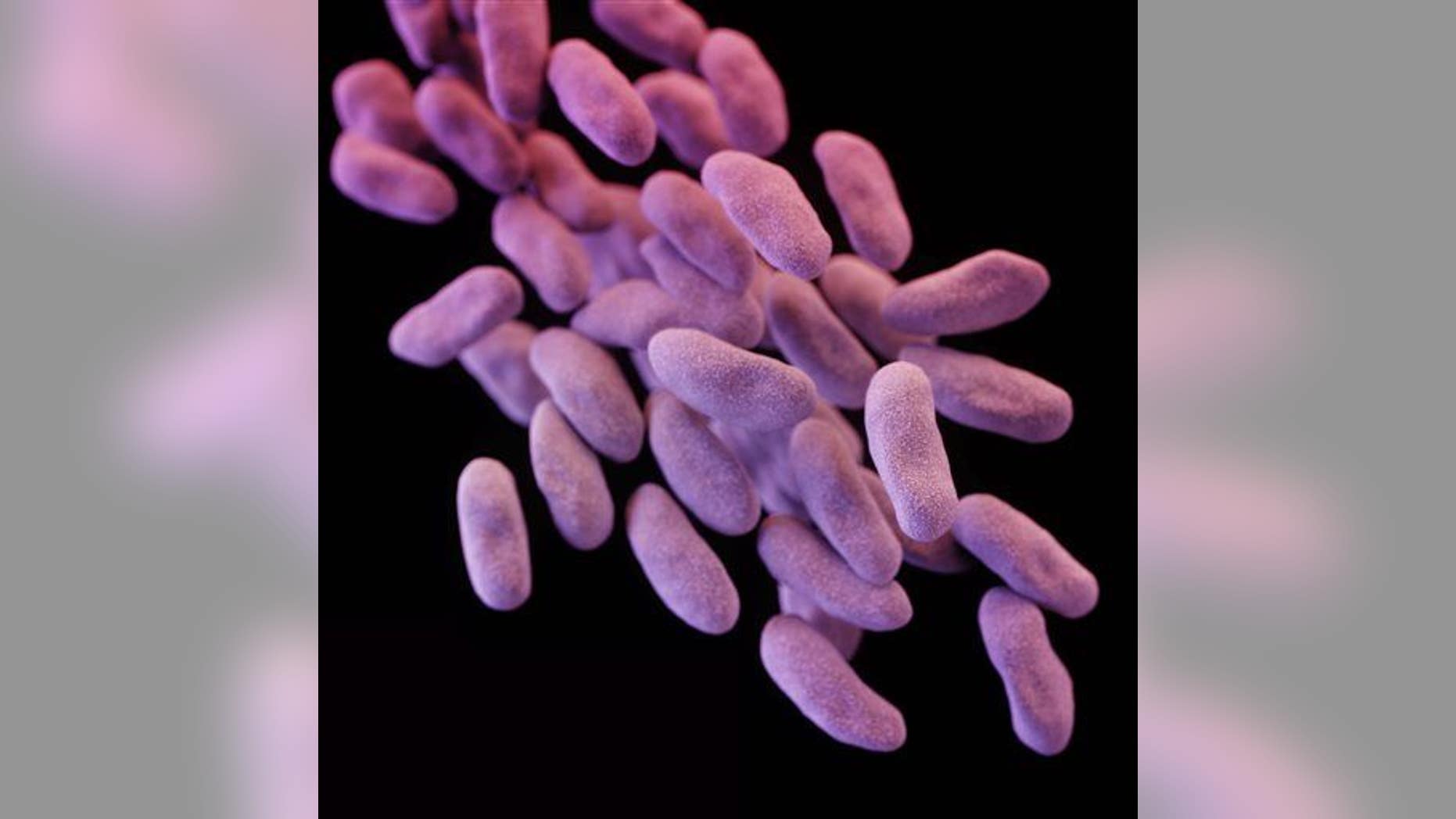 This illustration released by the Centers for Disease Control depicts a computer-generated image of a group of antibiotic-resistant bacteria.