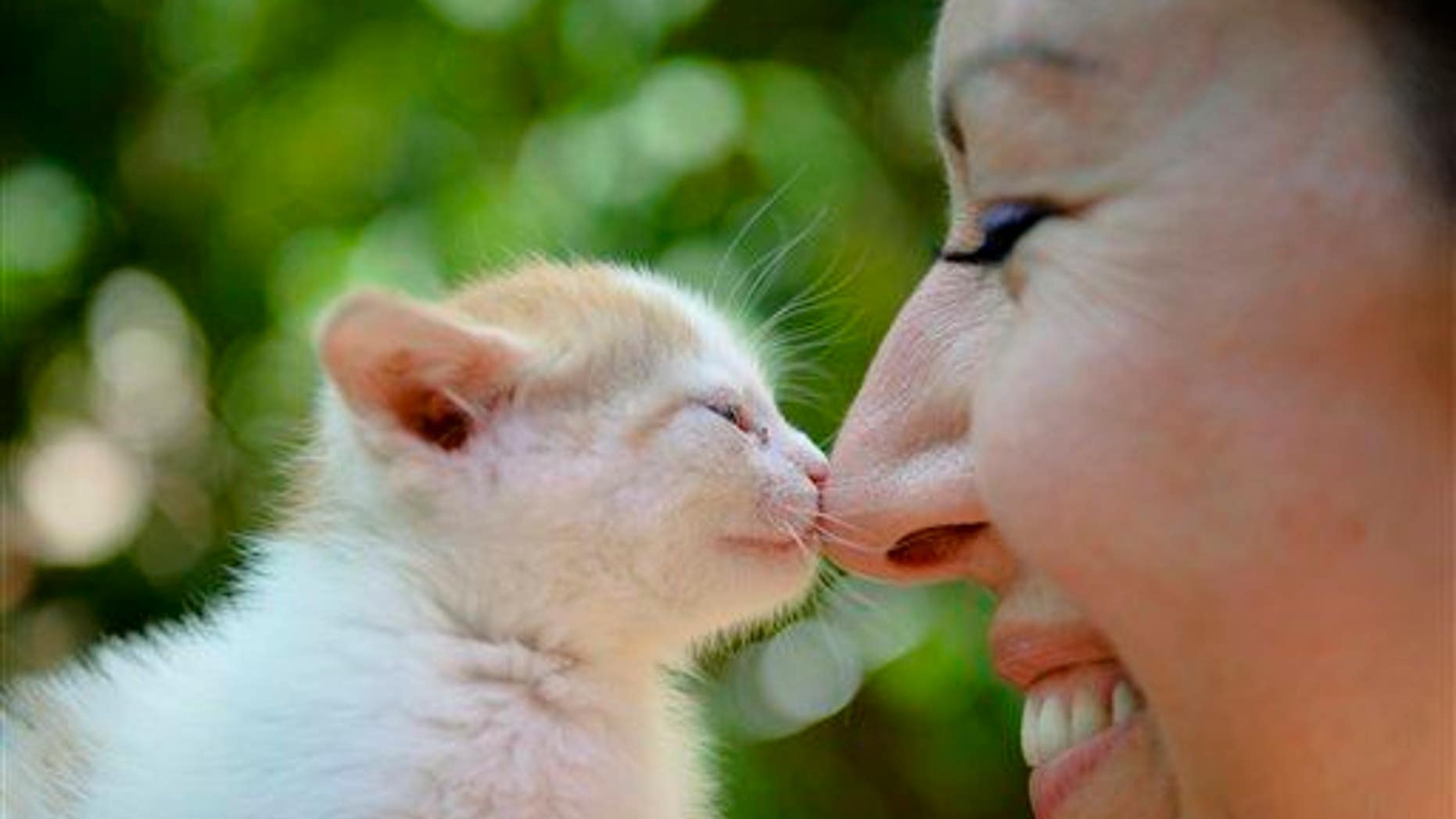 A woman touches noses with a kitten during a stray cat adoption event.