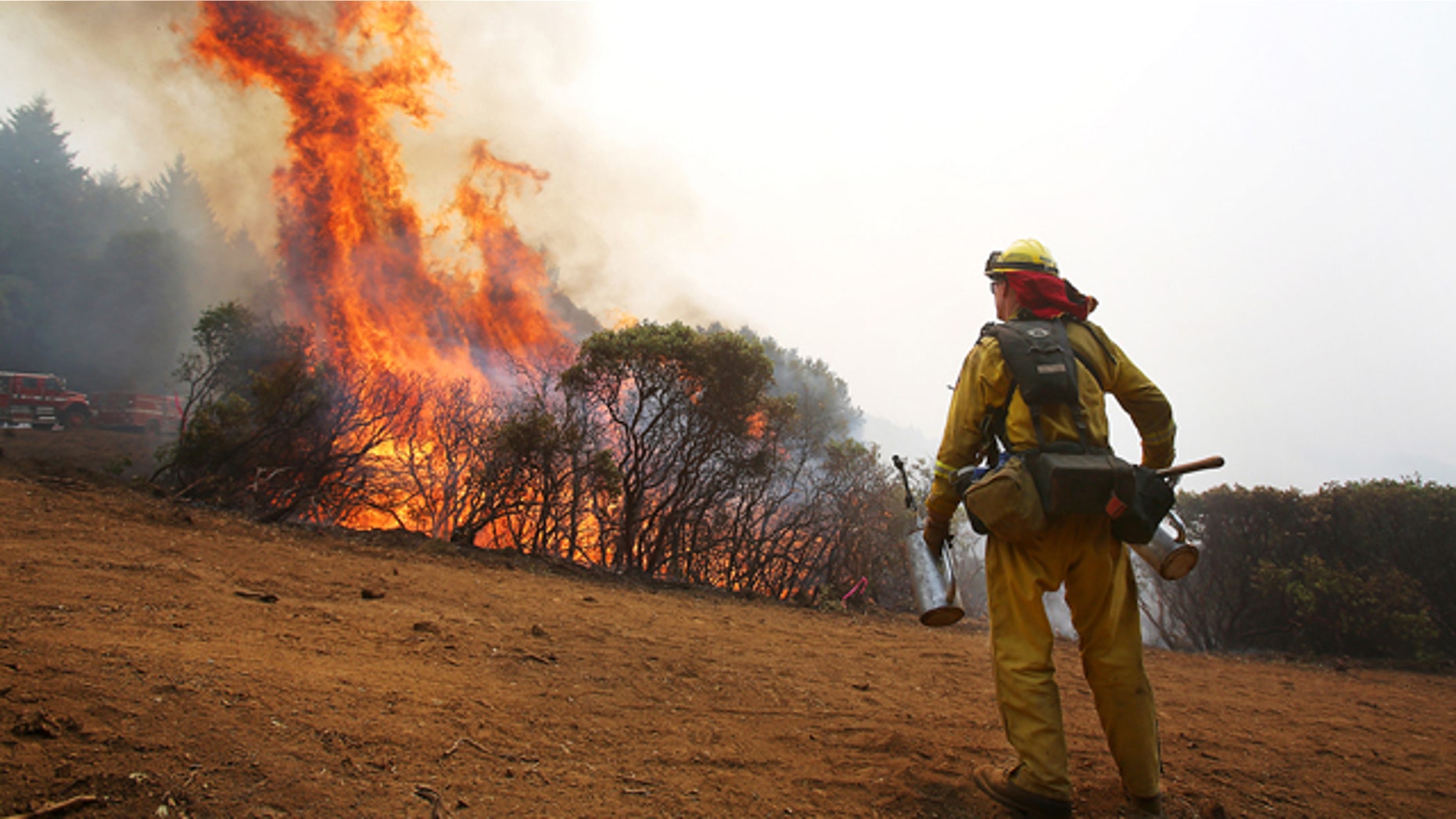 August 11, 2014: A firefighter from the Toulomne-Calevaras Cal Fire Unit watches as brush catches fire from setting a blackline in order to create a buffer at the northeast corner of the Lodge Complex Fire, north of Laytonville, Calif. (AP Photo/The Press Democrat, Christopher Chung)