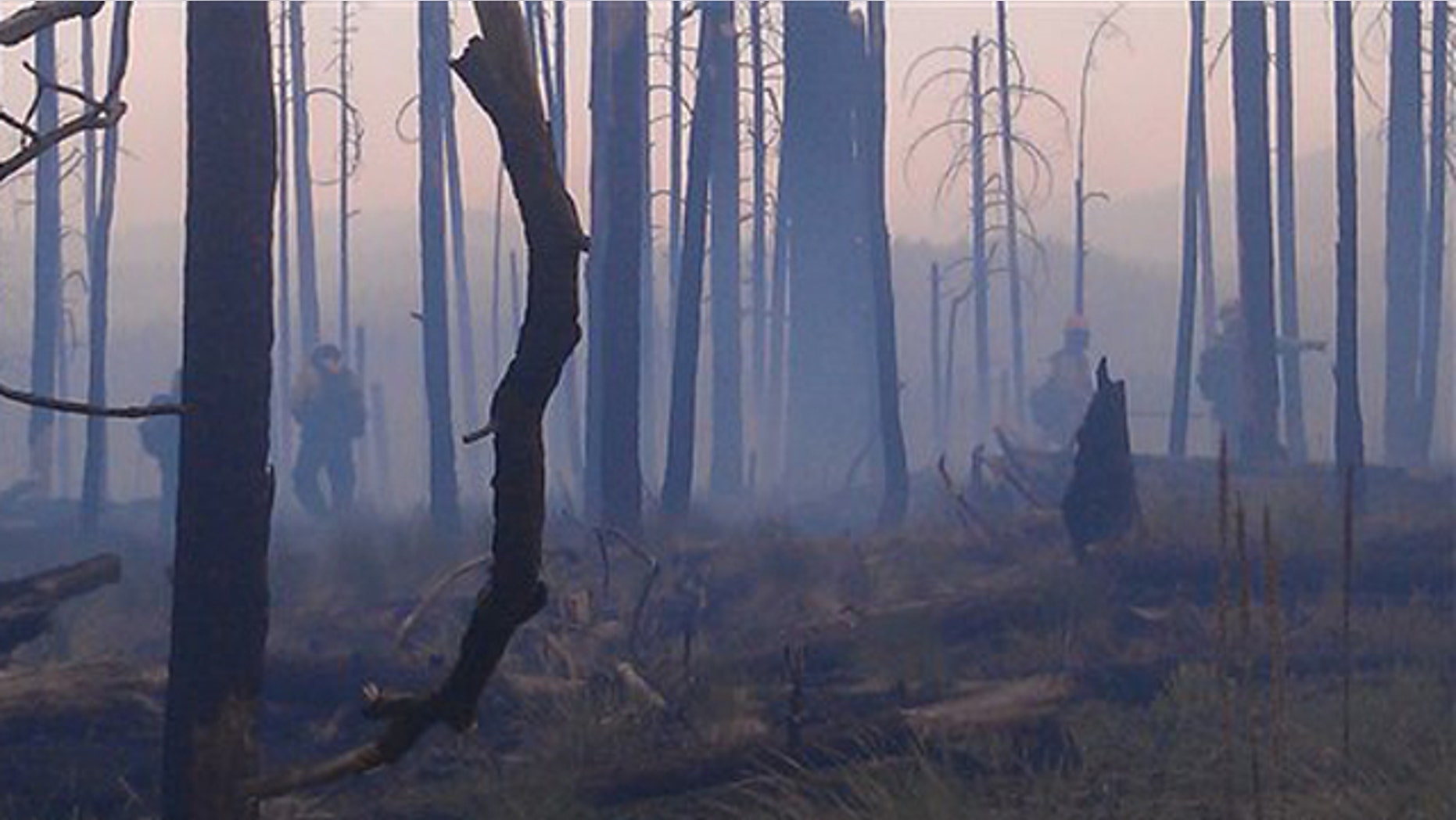 May 30, 2012: This image shows hotshots during burnout operations at the Gila National Forest blaze which grew May 31, 2012, to more than 190,000 acres, or nearly 300 square miles, as it raced across the area's steep, ponderosa pine-covered hills and through its rugged canyons in New Mexico near the Arizona border.
