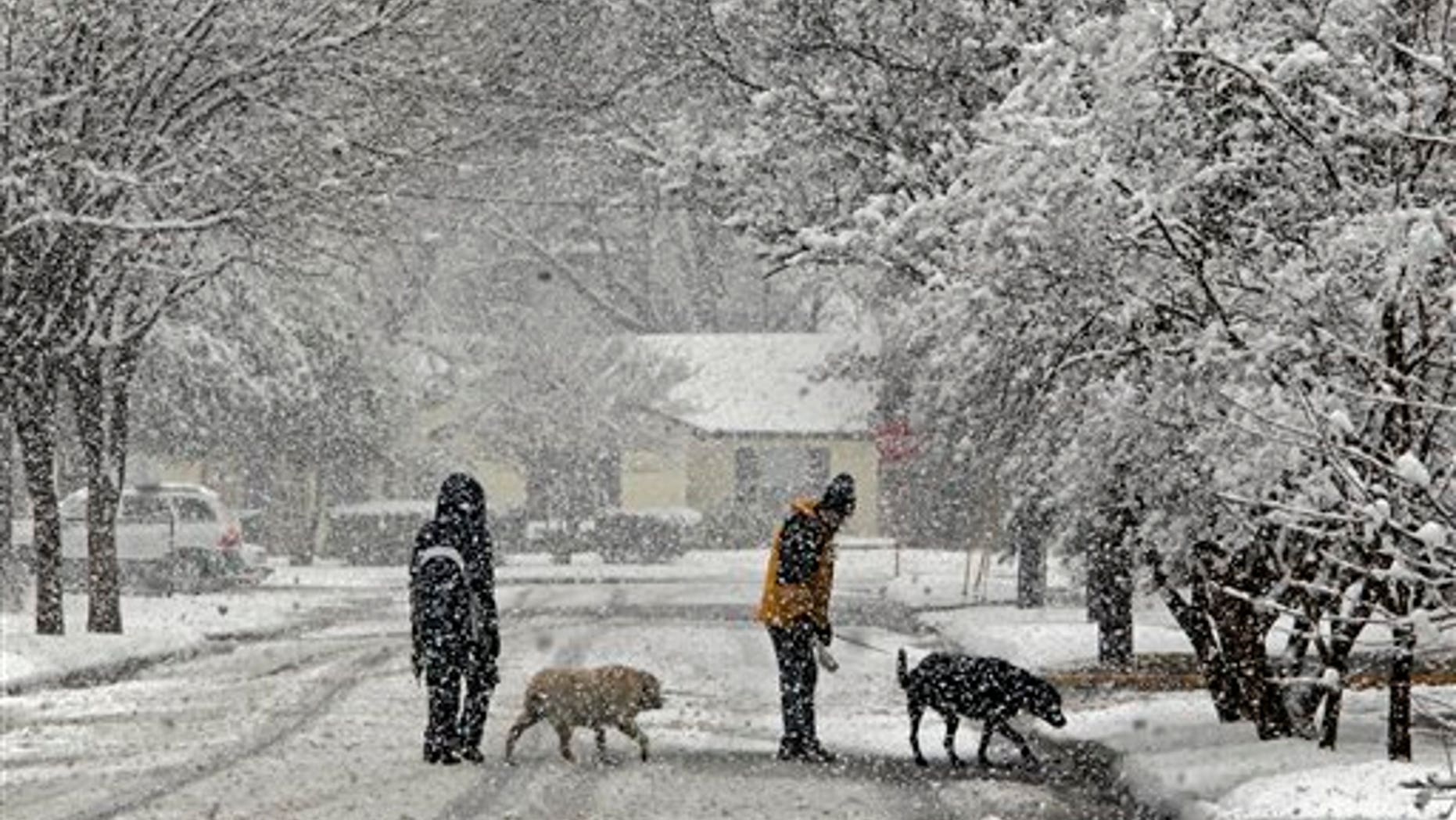 Nora Tay, left, with Dylan, and Richard Haas, with Zeus, take a walk in the snow near the Southern Methodist University campus in Dallas, Thursday, Feb. 11, 2010. Snow blanketed parts of Texas as a winter storm slowed traffic, interrupted classes and forced the cancellation of hundreds of flights. (AP Photo/The Dallas Morning News, Louis DeLuca) NO SALES, MAGS OUT, TV OUT, INTERNET: AP MEMBERS ONLY