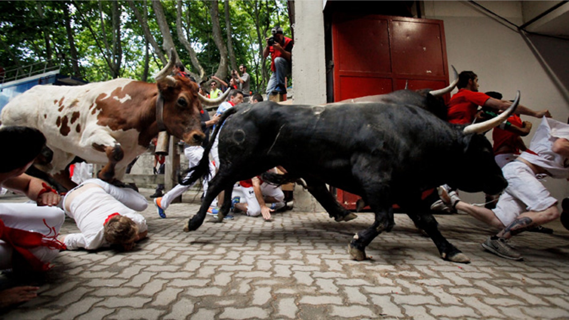 PAMPLONA, SPAIN - JULY 08: Revellers fall while running with the Tajo and the Reina's fighting bulls entering the bullring during the third day of the San Fermin Running Of The Bulls festival on July 8, 2015 in Pamplona, Spain. The annual Fiesta de San Fermin, made famous by the 1926 novel of US writer Ernest Hemmingway entitled 'The Sun Also Rises', involves the daily running of the bulls through the historic heart of Pamplona to the bull ring. (Photo by Pablo Blazquez Dominguez/Getty Images)