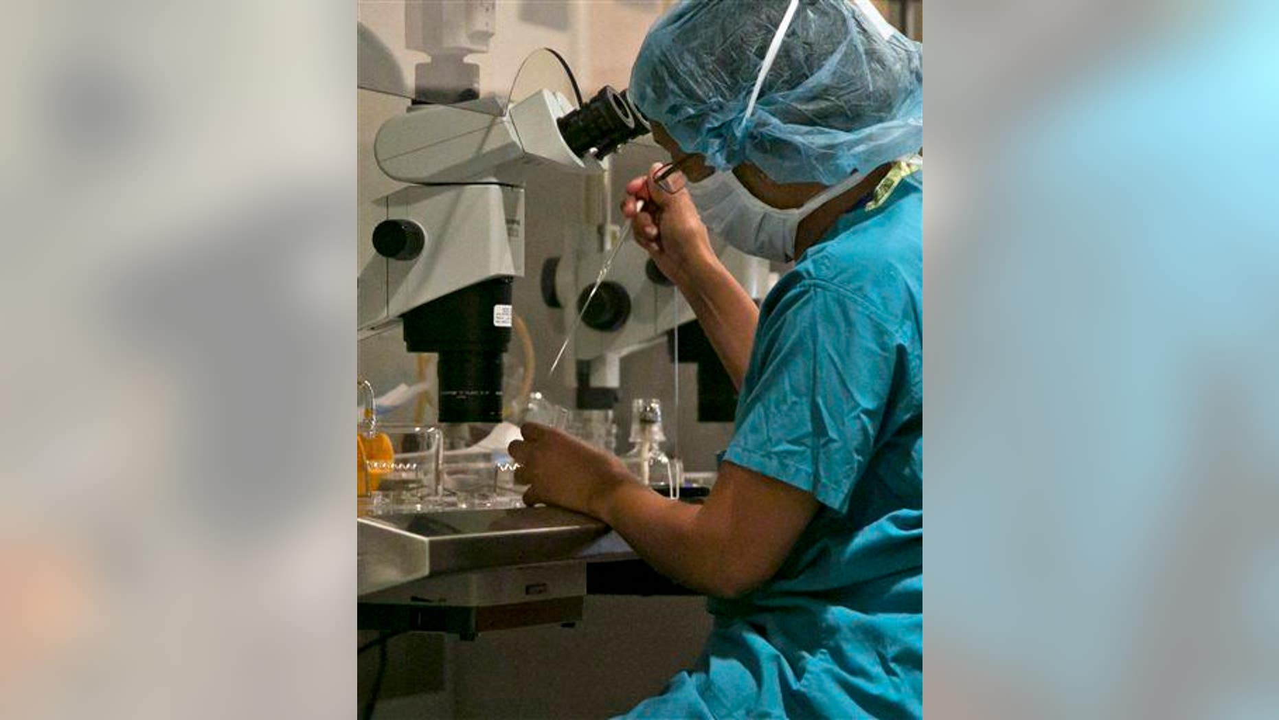An embryologist fertilizes an embryo at Reproductive Medicine Associates of New York in New York on Oct. 3, 2013.