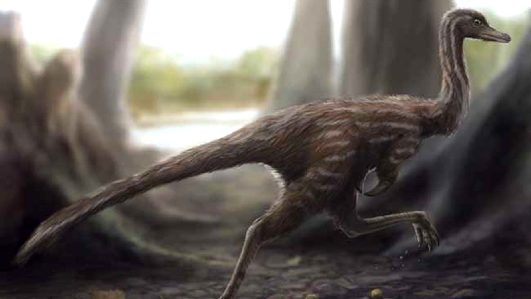 One of the smallest known dinosaurs, Xixianykus zhangi (shown here in a reconstruction) was built for quick running. A shorter upper leg relative to its lower leg helped the dinosaur carry its weight more efficiently.