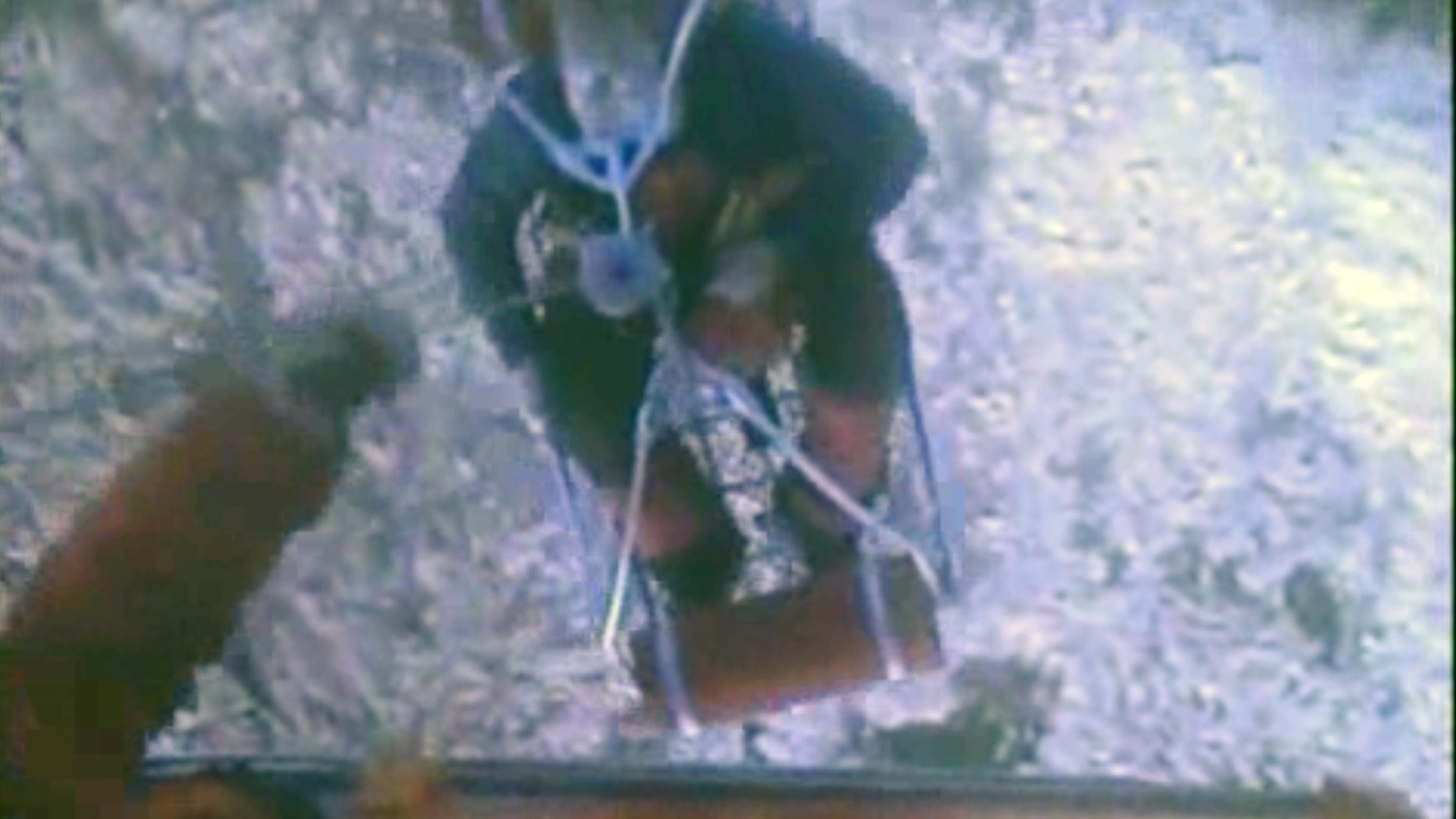 April 15, 2012: One of three crew members from the yacht Low Speed Chase is rescued from the Farallon Islands west of San Francisco.