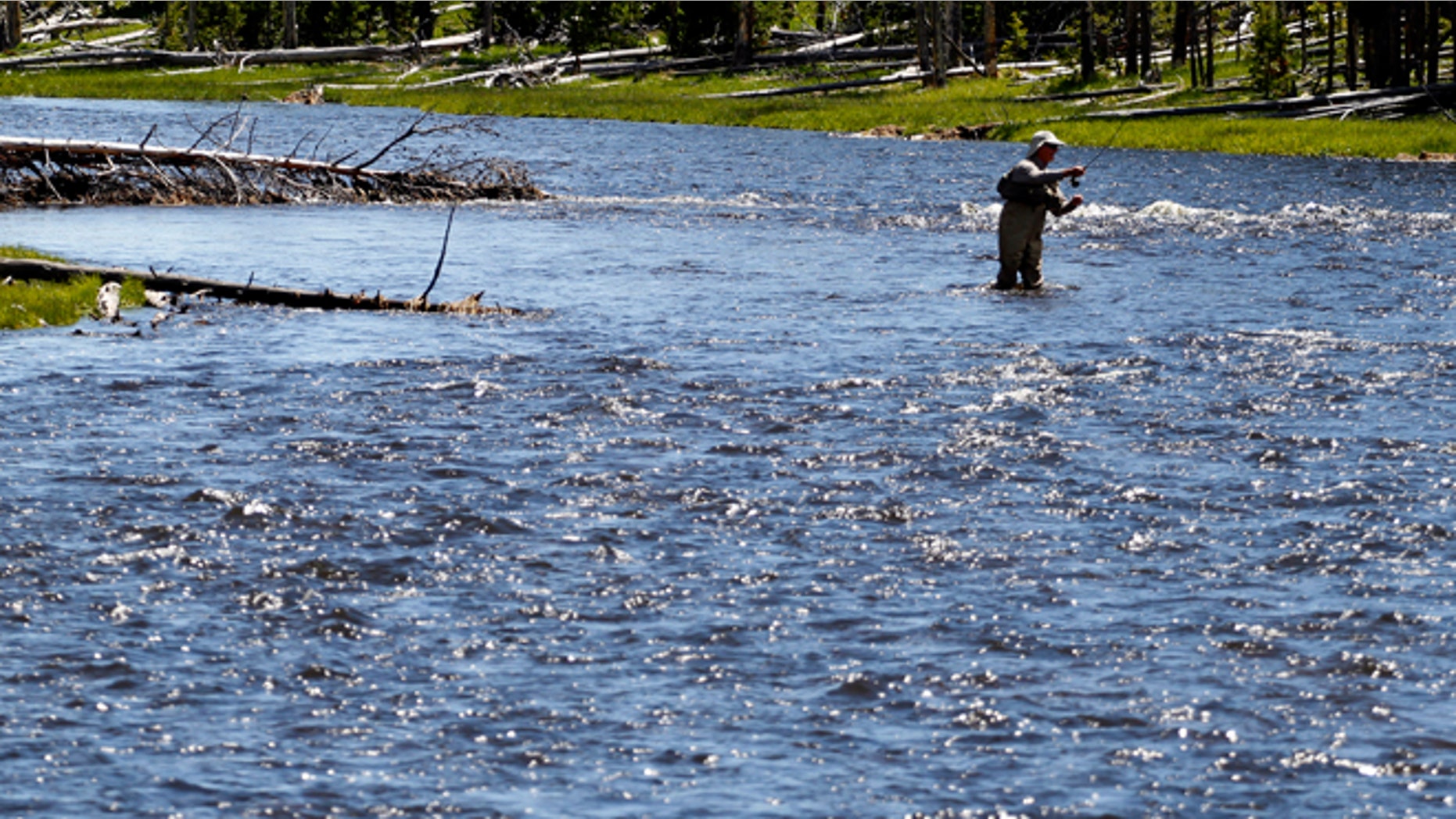 June 21, 2011: A fly fisherman on the Firehole River in Yellowstone National Park, Wyoming.