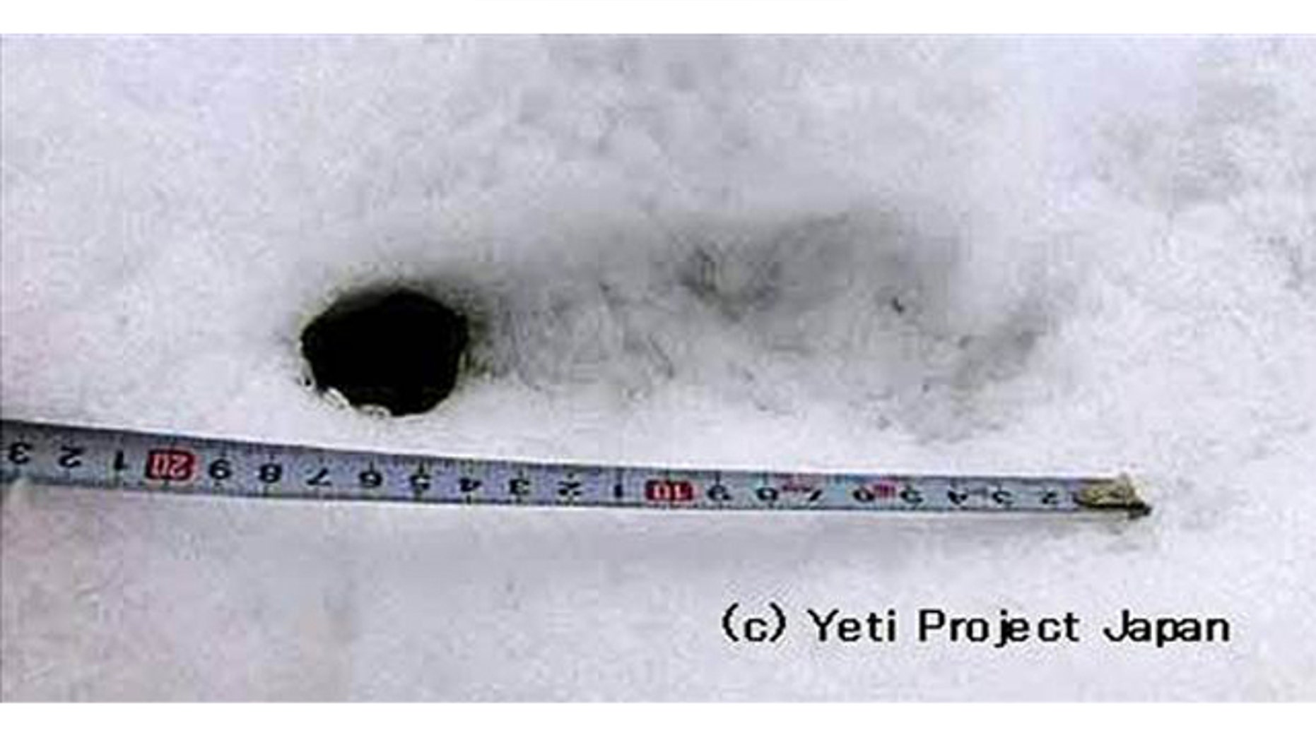 Oct. 21, 2008: A footprint was found in the snow on the Mount Dhaulagiri in northern Nepal by a group of Japanese mountaineers during a 2008 expedition. They claimed it was of the legendary Yeti -- and said it could prove the long-rumored existence of a giant ape living in the Himalayan peaks.