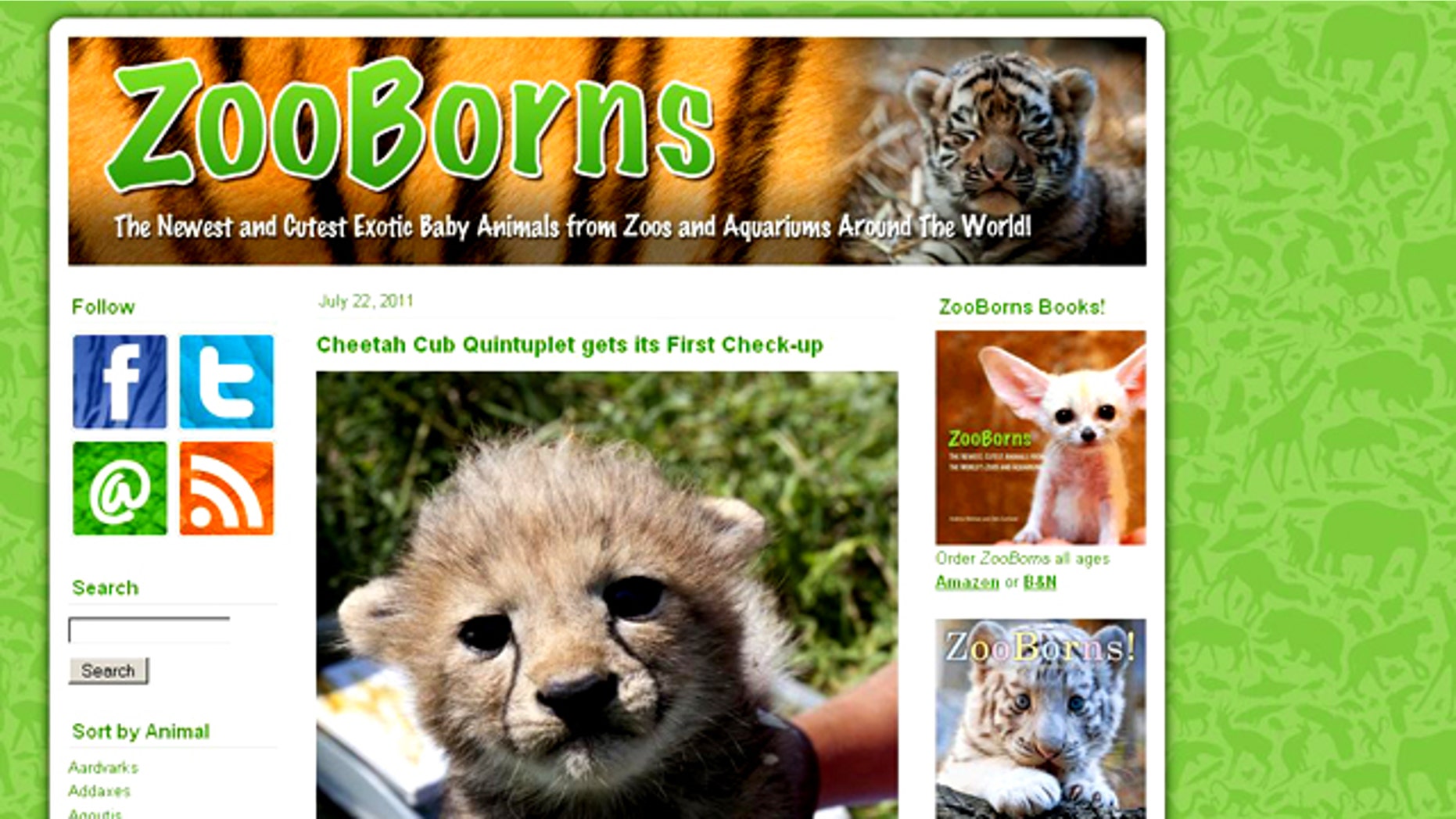 The ZooBorns.com website gives you a daily dose of cuteness: the newest baby animals from zoos around the world.