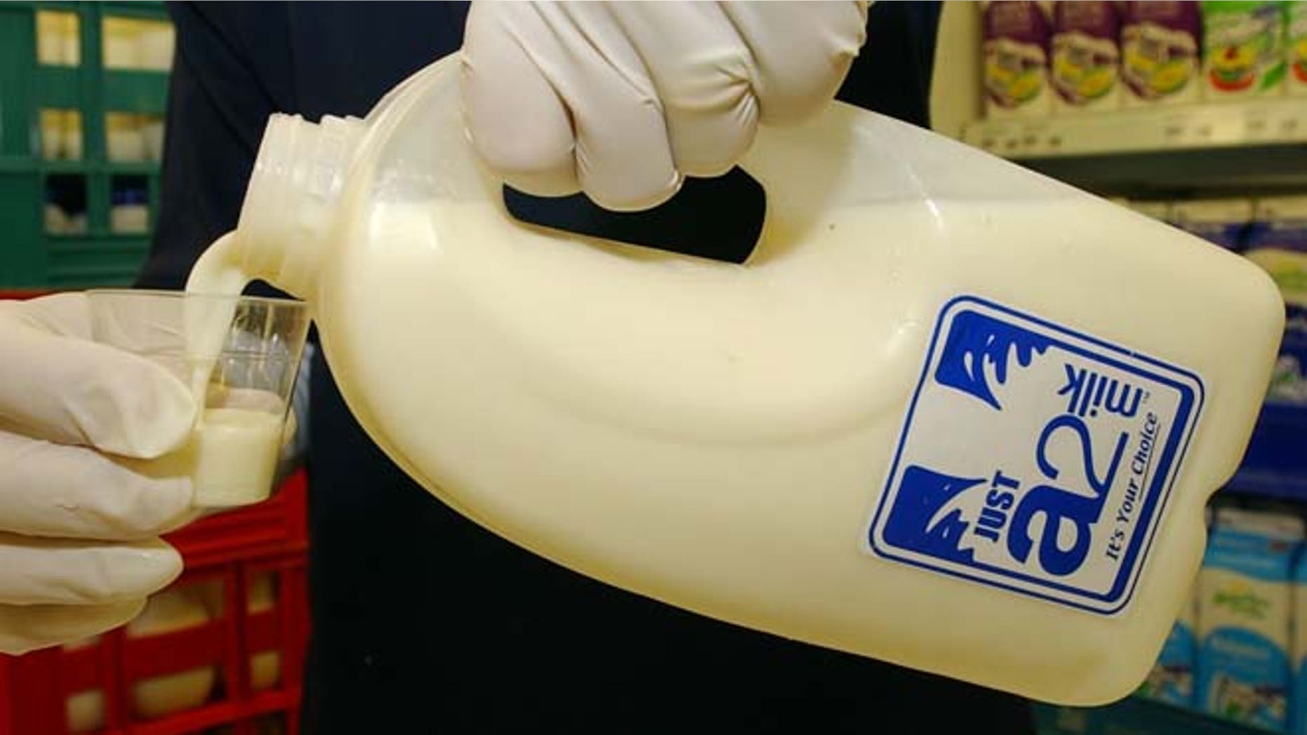 AUCKLAND, NEW ZEALAND - APRIL 29: The new milk product known as A2 the "original milk" containing the deta casein A1 which has been strongly linked to heart disease and Type 1 diadetes amongst other illnesses. (Photo by Dean Purcell/Getty Images)