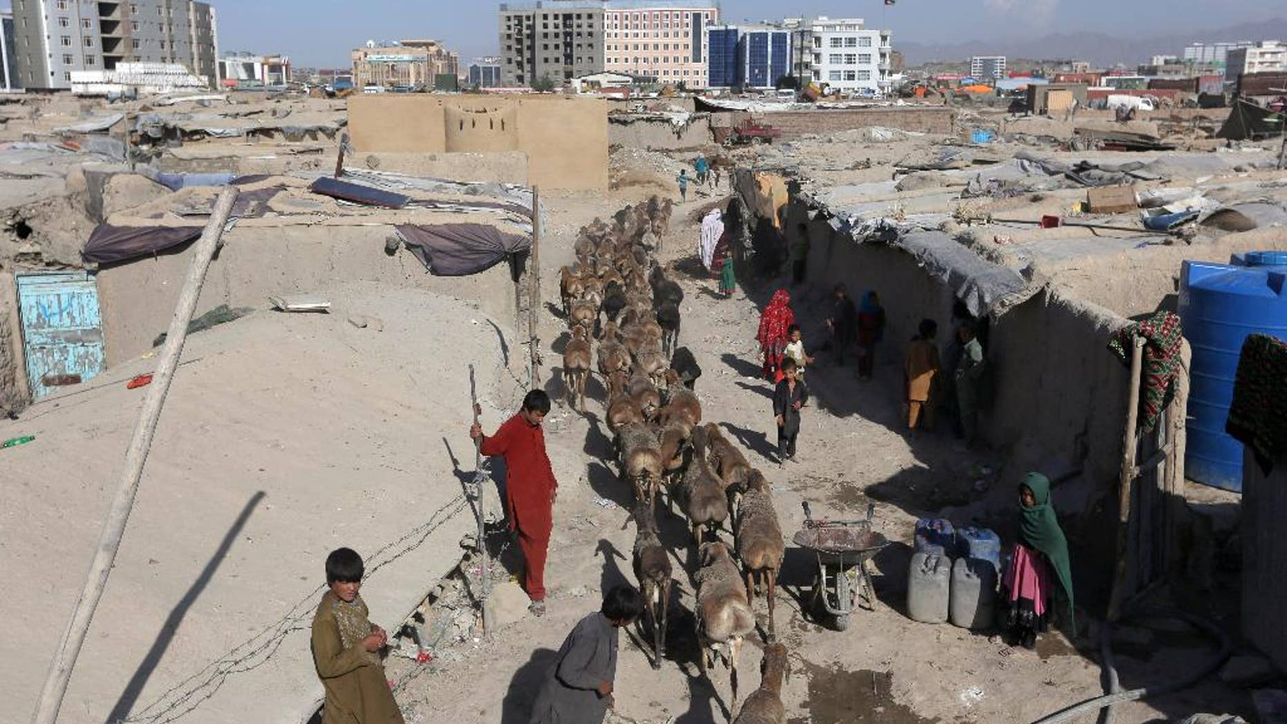 A young Afghan shepherd walks his sheep near temporary housing in Kabul, Afghanistan in May.