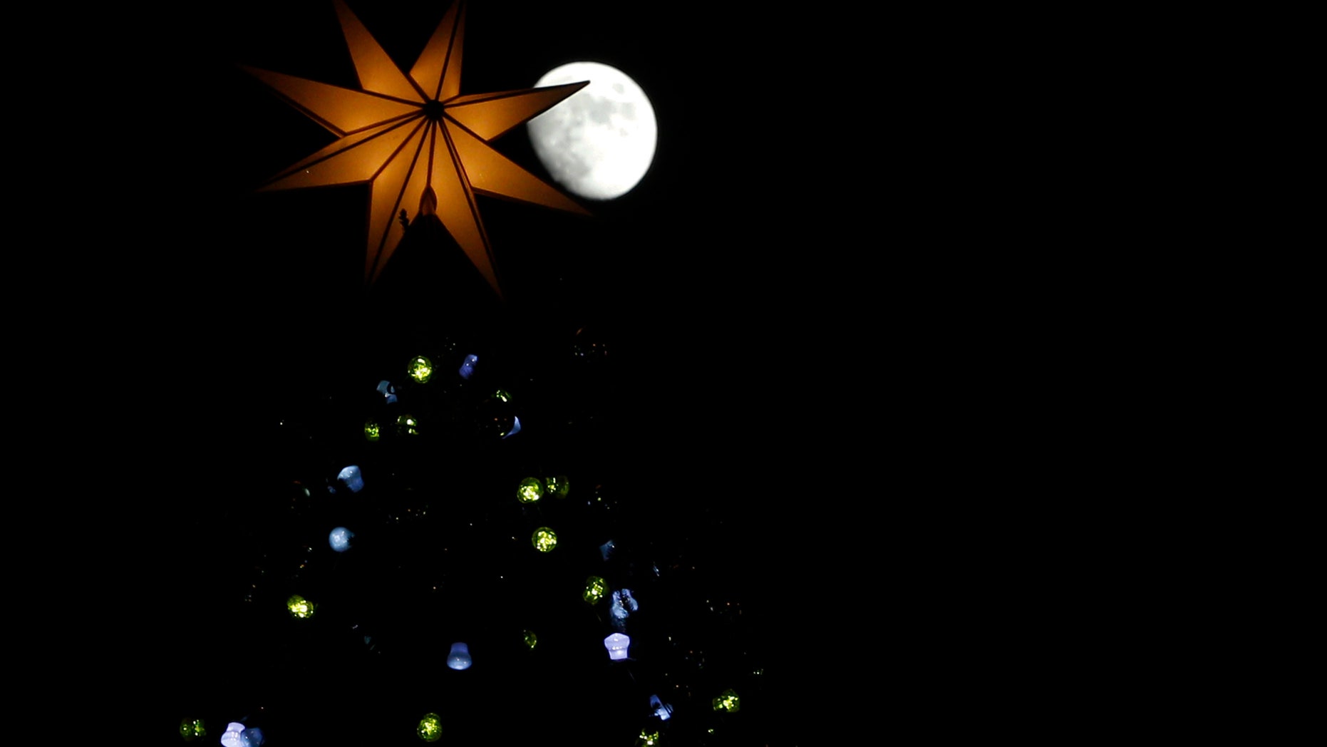 A crescent moon rises above a Christmas tree in St. Peter's Square at the Vatican, Friday, Dec. 13, 2013. The 25-meter (82 feet) tall tree which arrived from Bavaria, Germany was lit Friday evening at the end of ceremony. Big crowds are expected to flock to the square during the holidays to admire the tree. (AP Photo/Andrew Medichini)